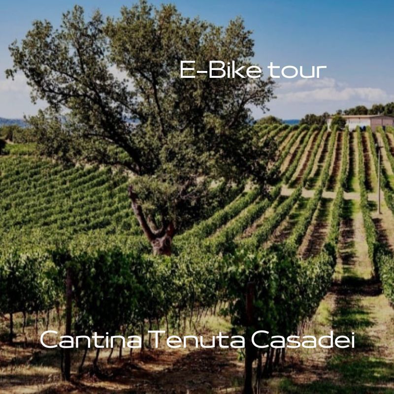 Bike e degustazione Tenuta Casadei