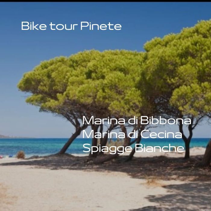 Le pinete tra Marina di Cecina e Marina di Bibbona
Spiagge Bianche di Rosignano
