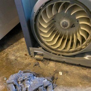 after dryer cleaning and repair service