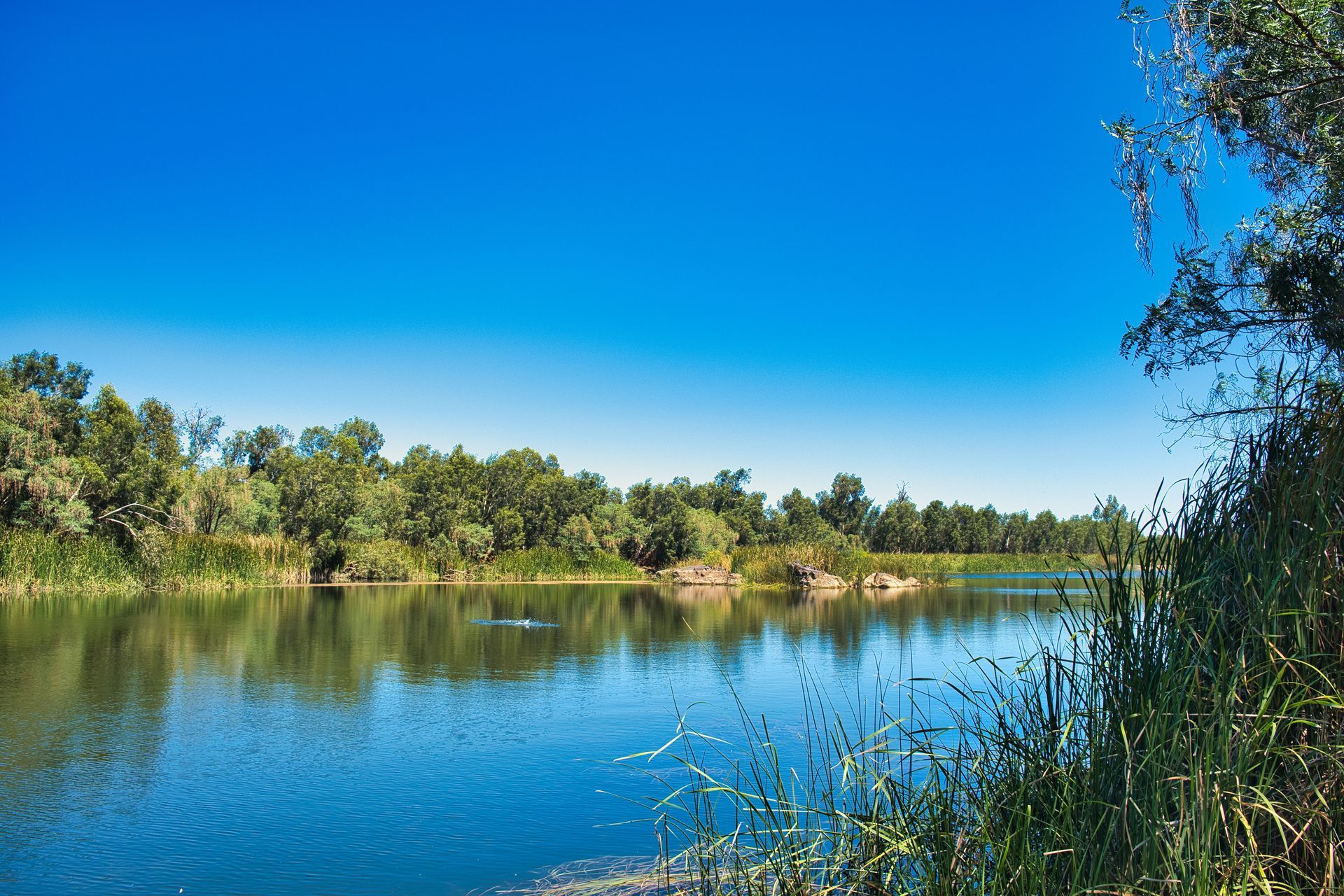 Calm River Reflecting Blue Sky, With Green Trees And Shrubs — Dirt Werx in Maitland, NSW
