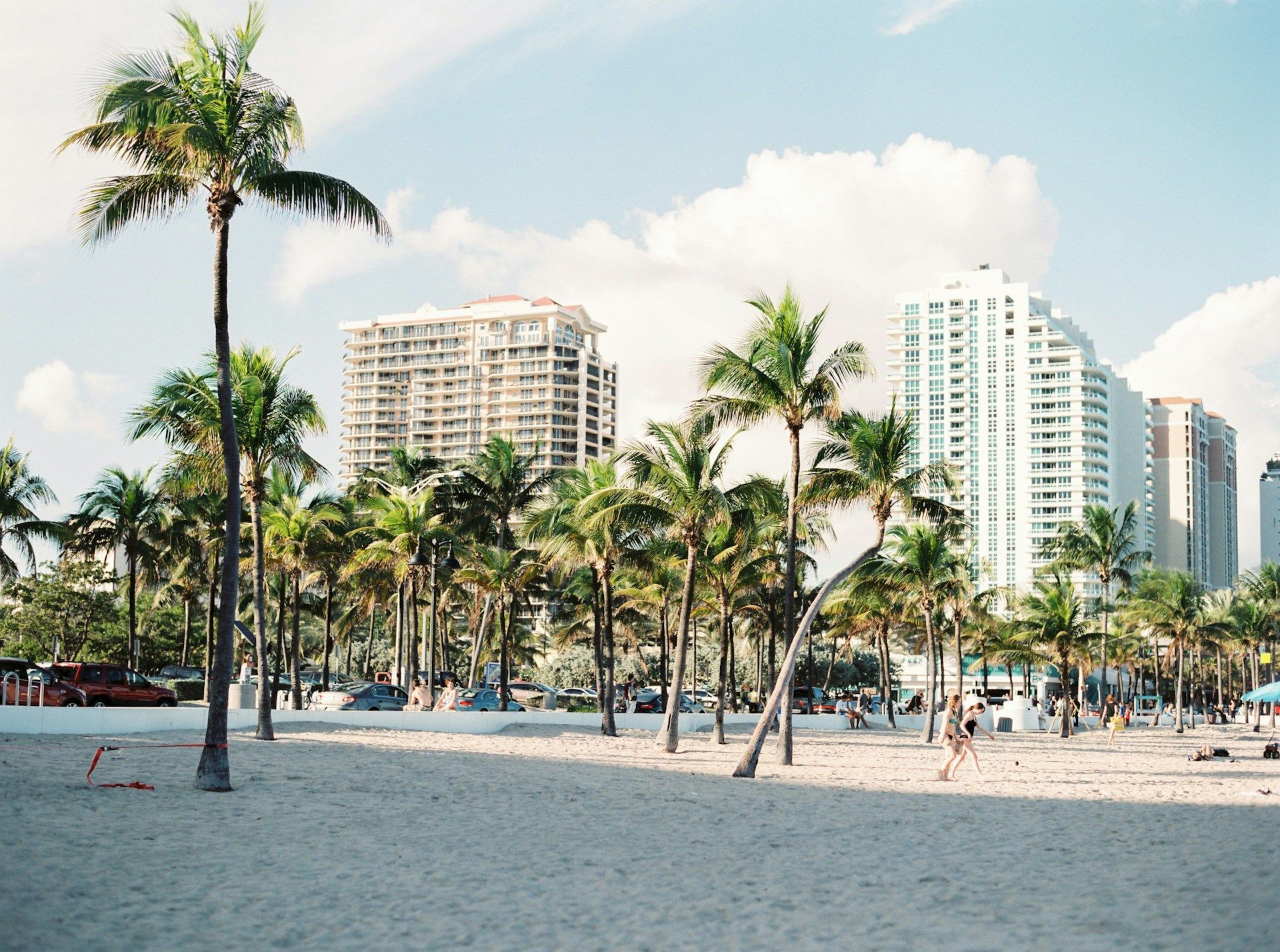 Beach with palm trees and tall buildings under a sunny sky.