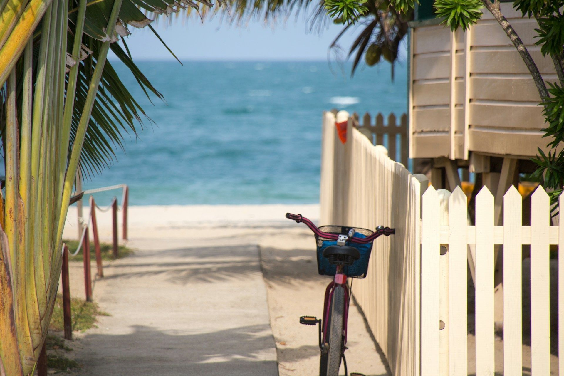 Path to beach lined with fence and foliage, bicycle parked. Blue ocean in background.