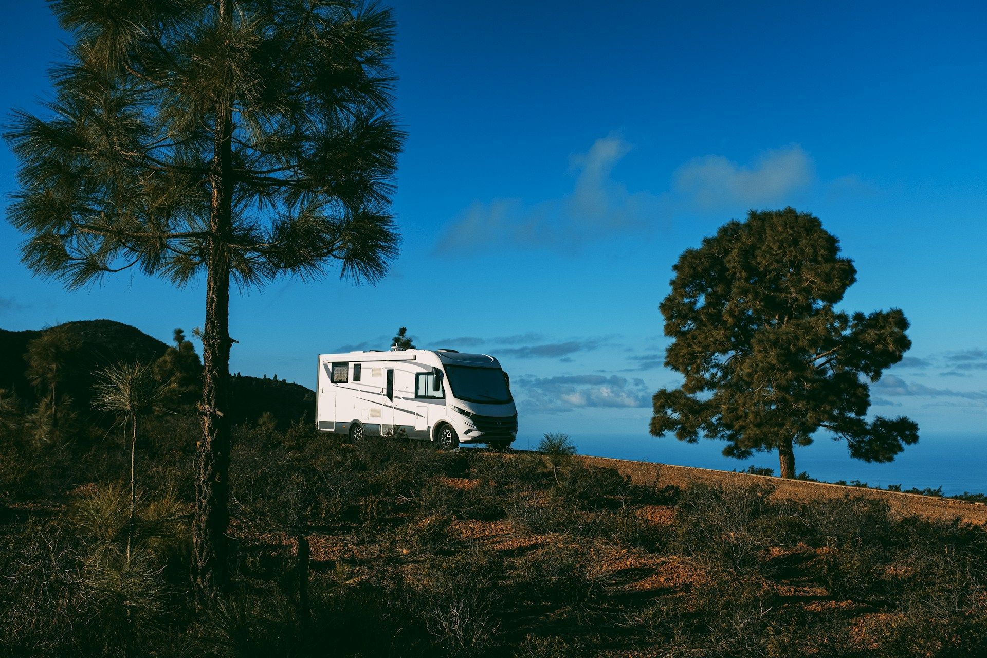 Motorhome parked on a hillside with two trees against a blue sky.