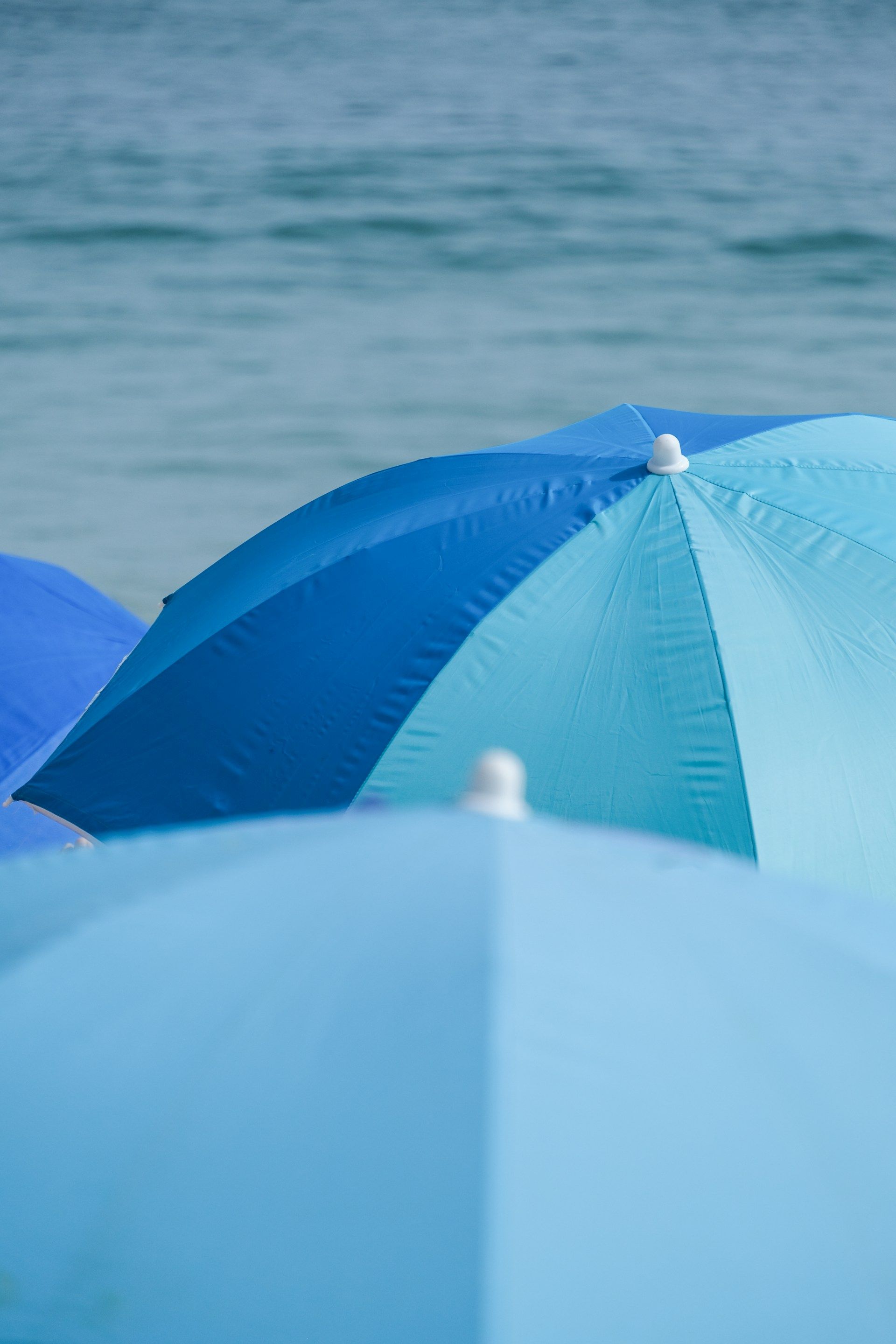 Blue beach umbrellas with ocean in the background.