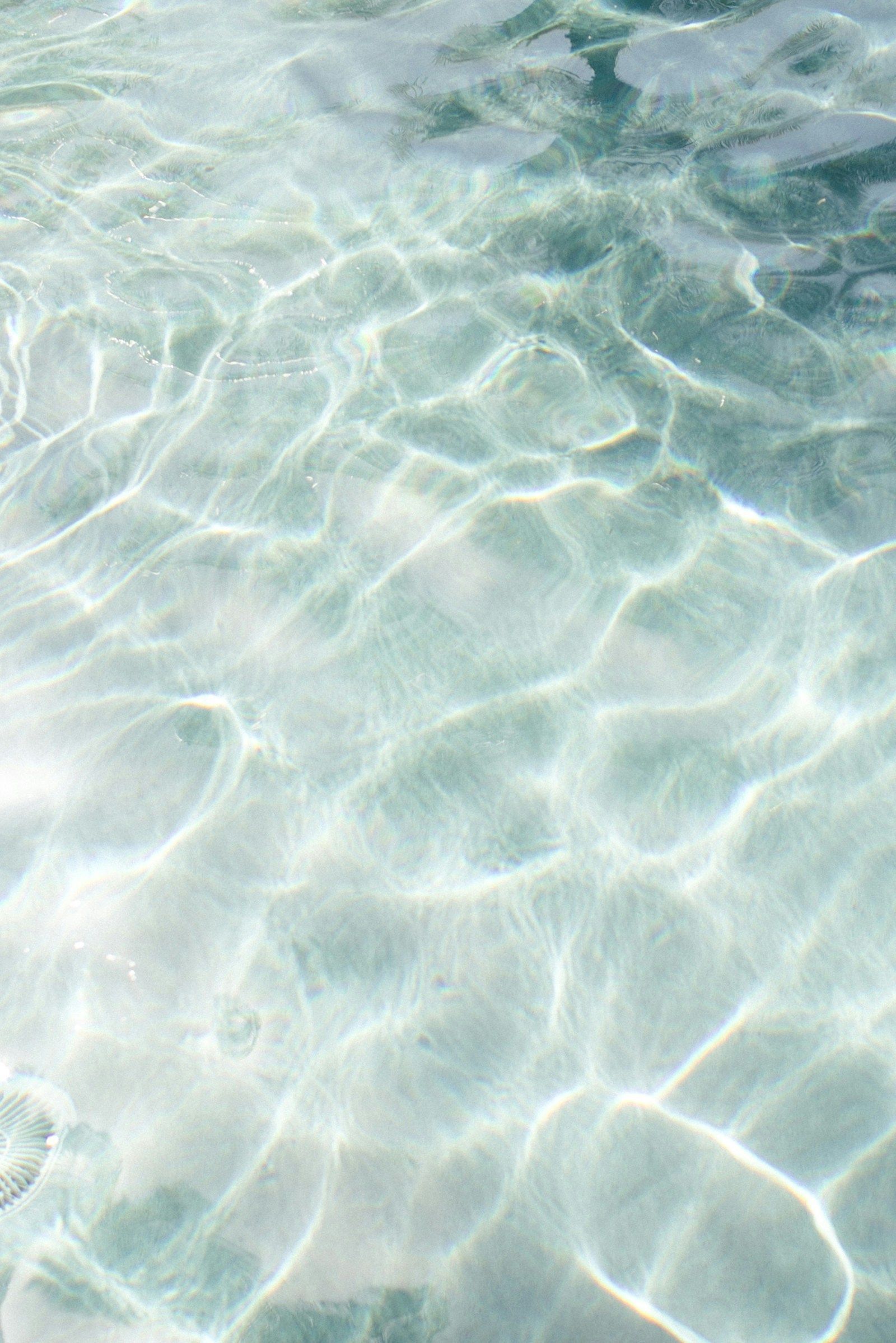 Clear, rippling water with sunlight reflecting off the surface, creating a shimmering effect.
