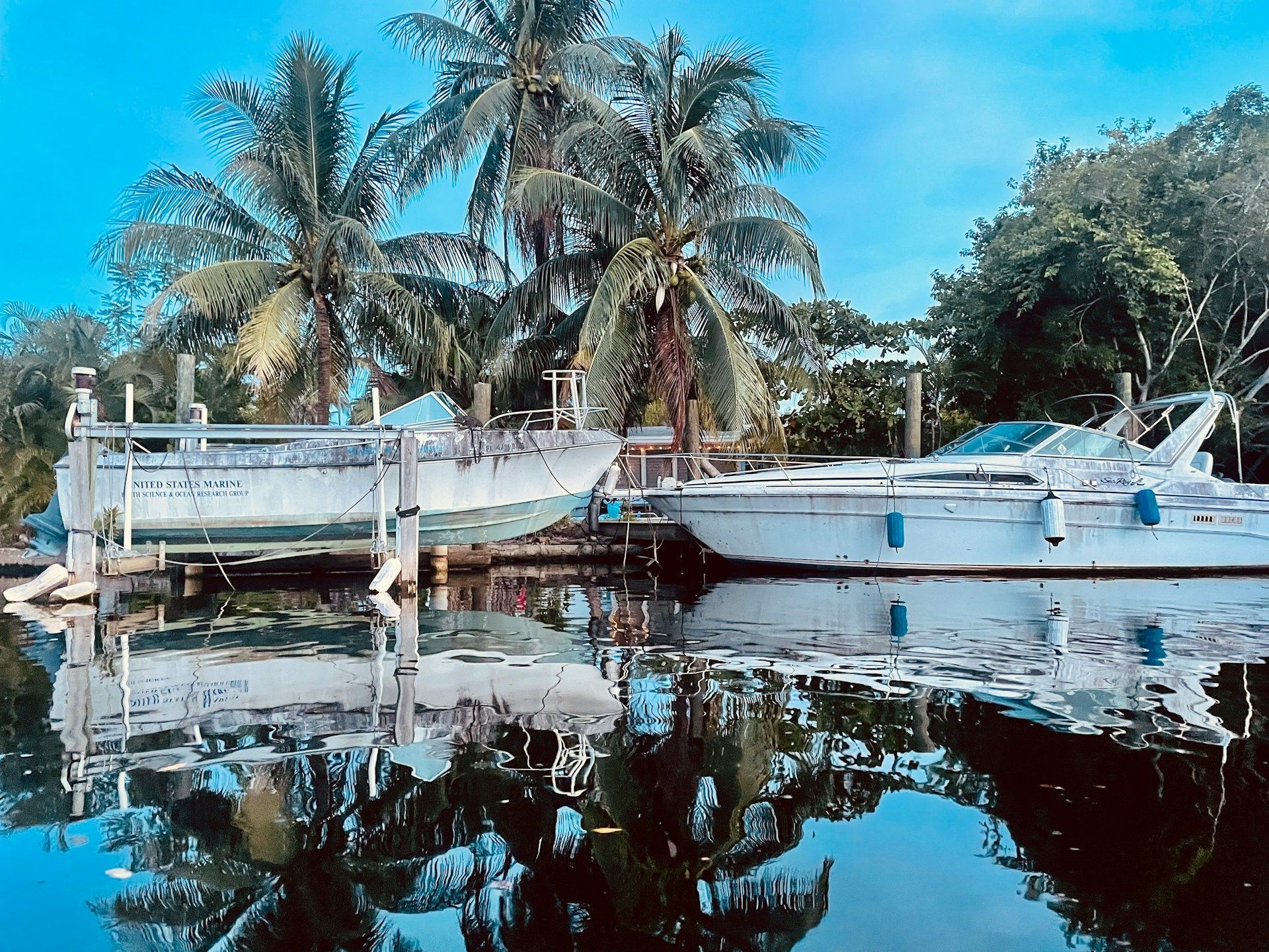 Boats docked at a pier, reflected in calm water with palm trees in the background.