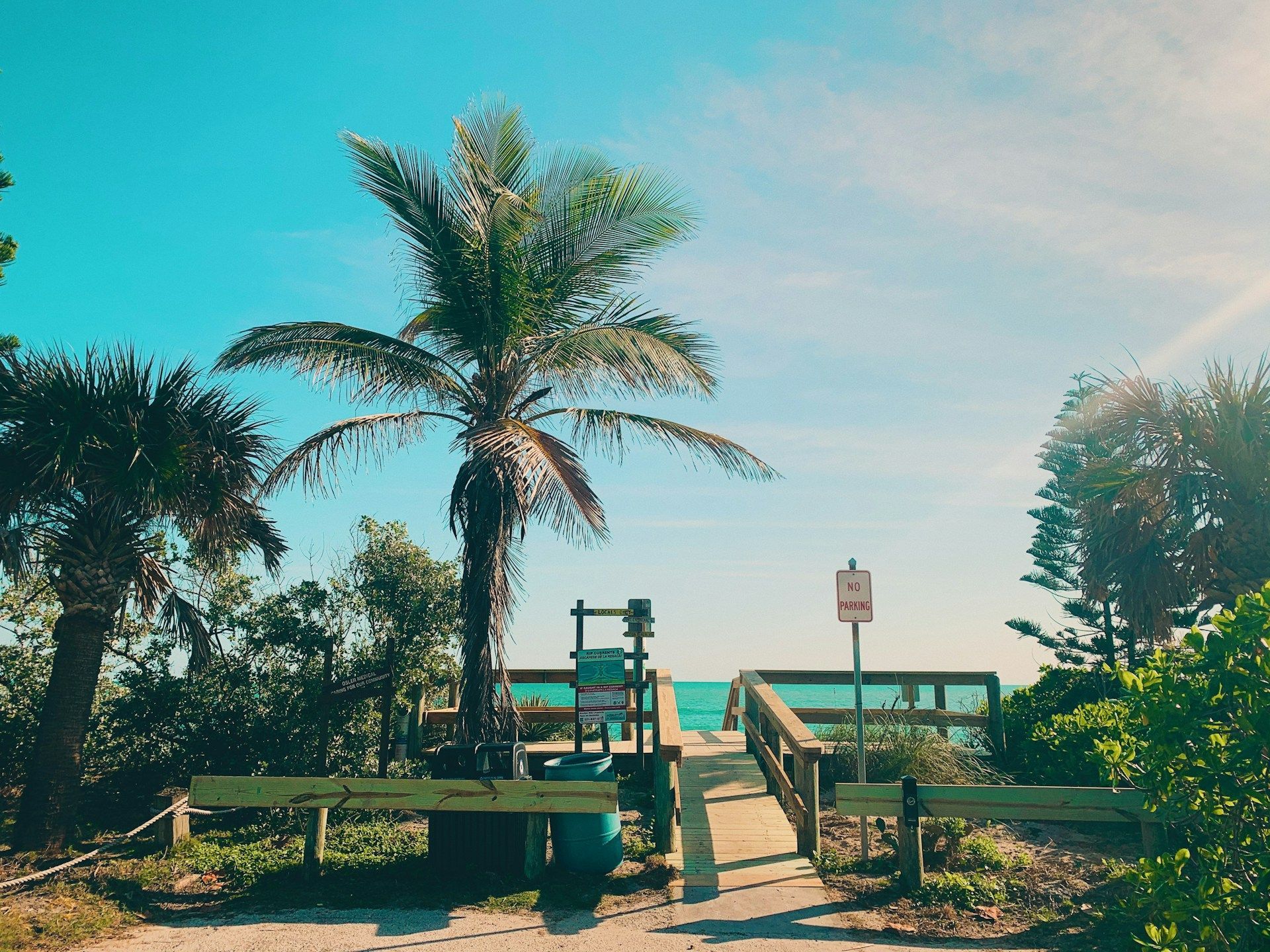 Wooden boardwalk leading to a beach, framed by palm trees and greenery under a clear blue sky.