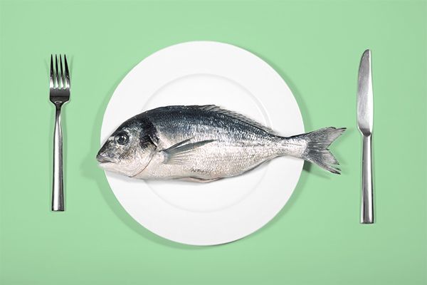 fish odor