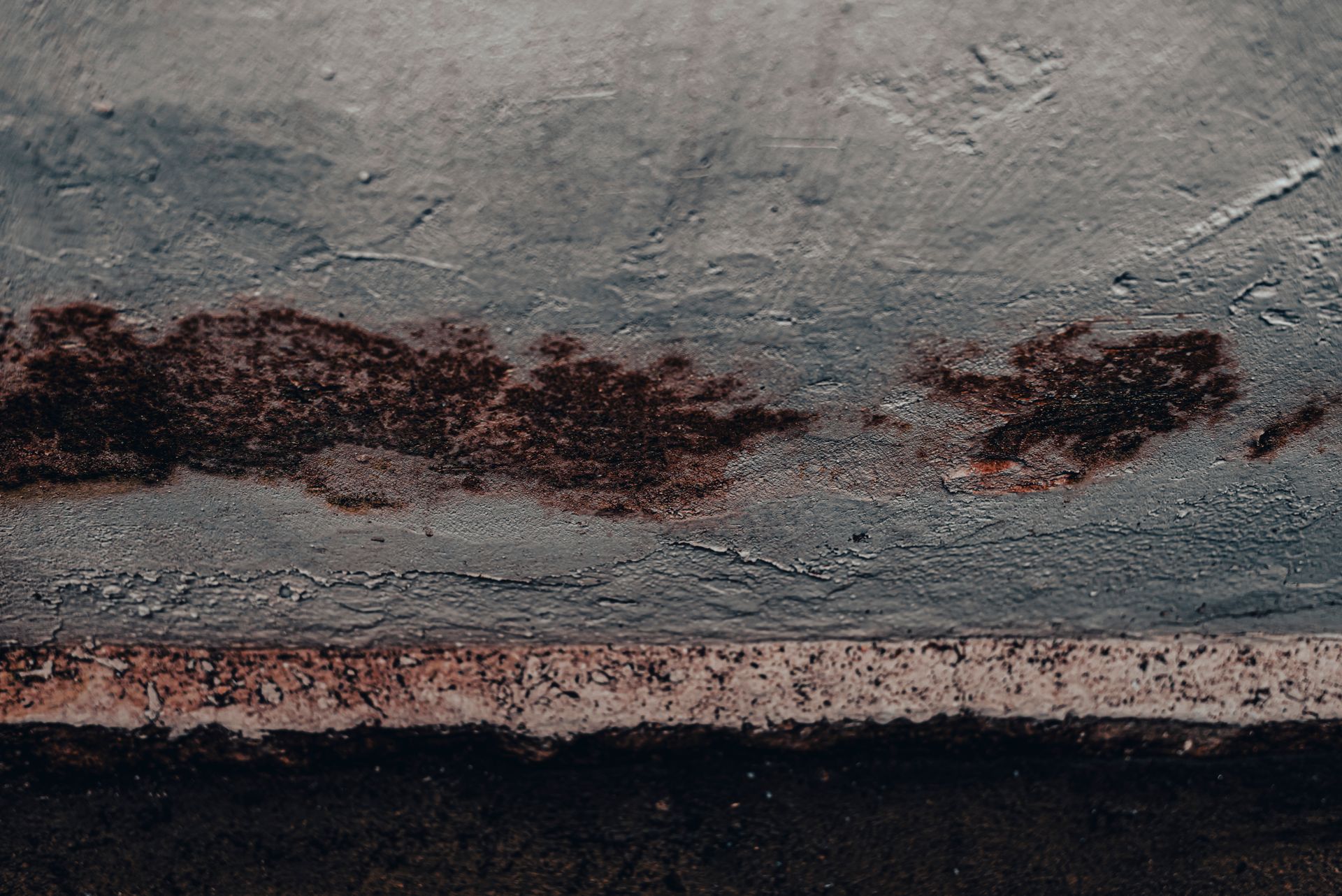 Why Is Mold Growing in My Basement?