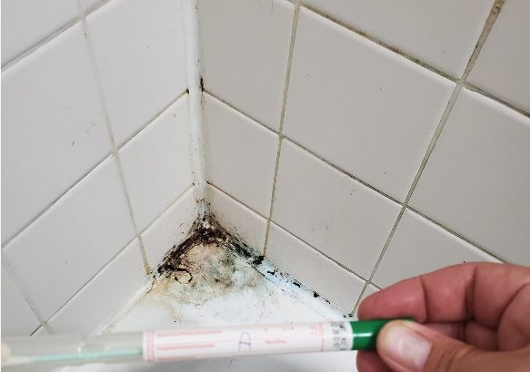 mold in bathroom