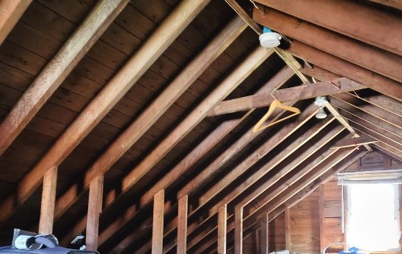 mold cleaning
