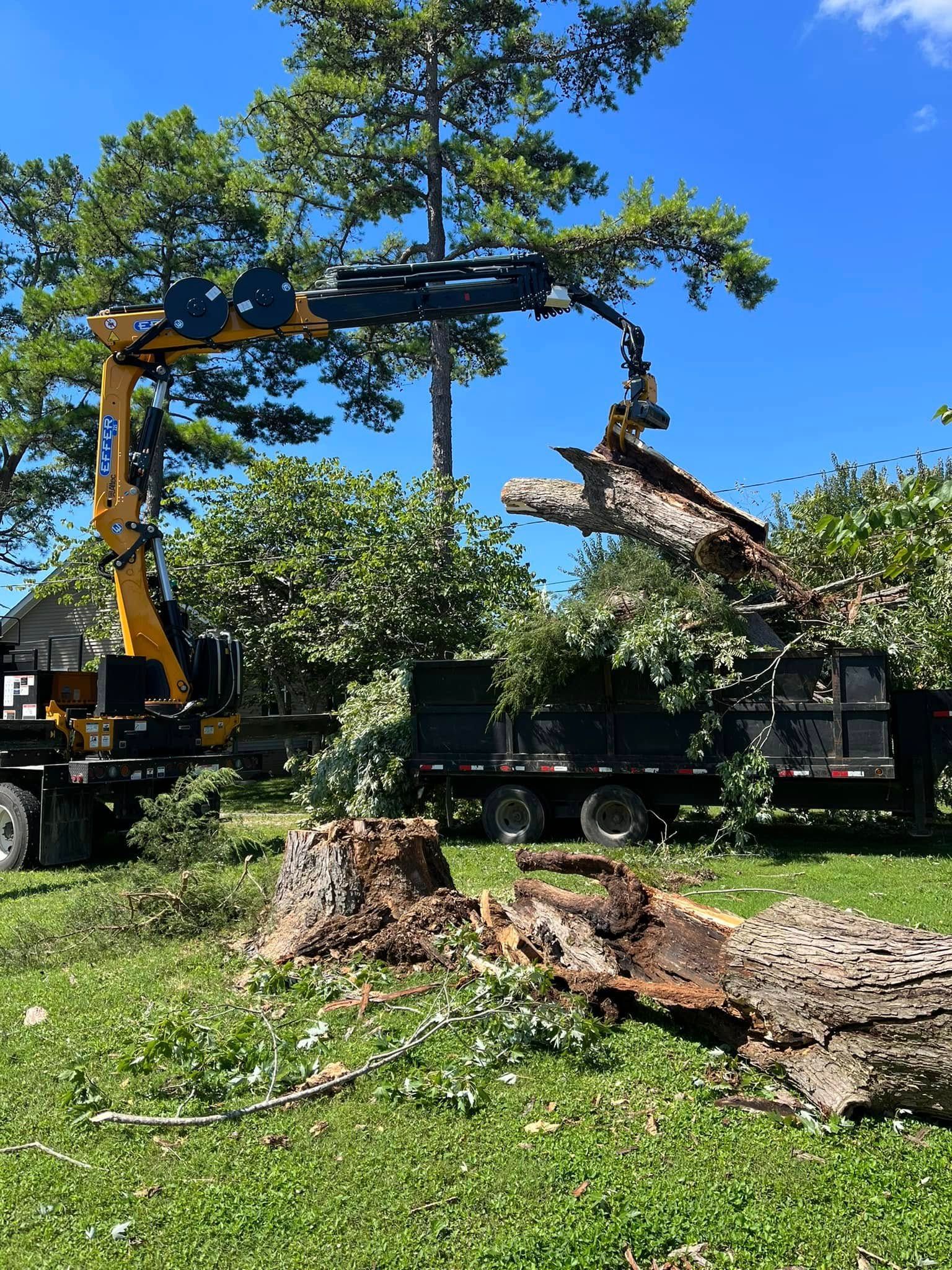 Excavator removing a large tree limb in a grassy yard under a clear blue sky