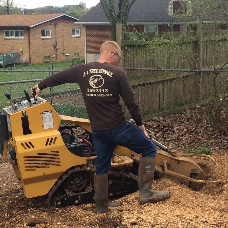 Worker operating a yellow stump grinder in a yard beside a fence and houses
