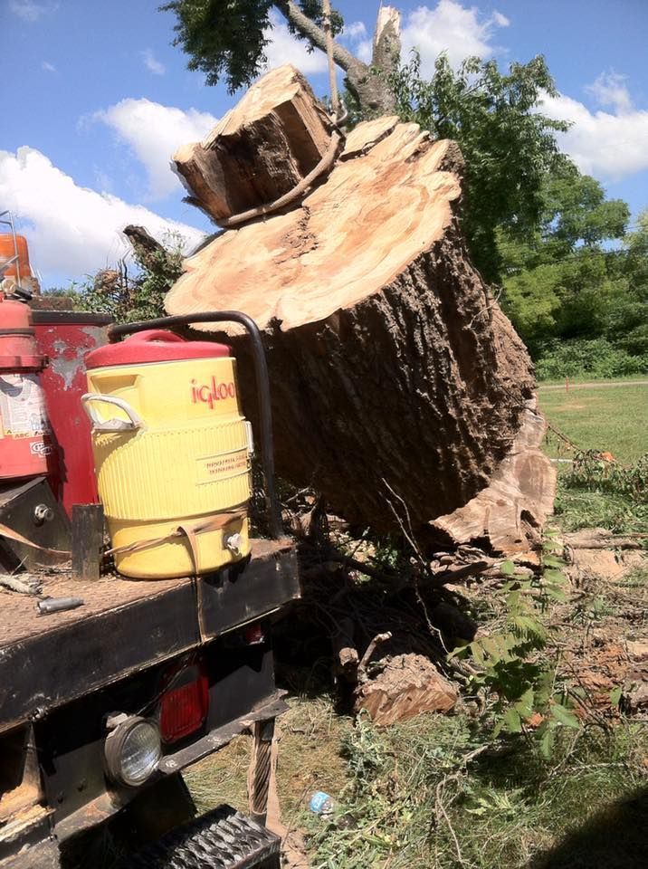Heavy tree stump being cut beside a yellow wood chipper in a grassy outdoor area