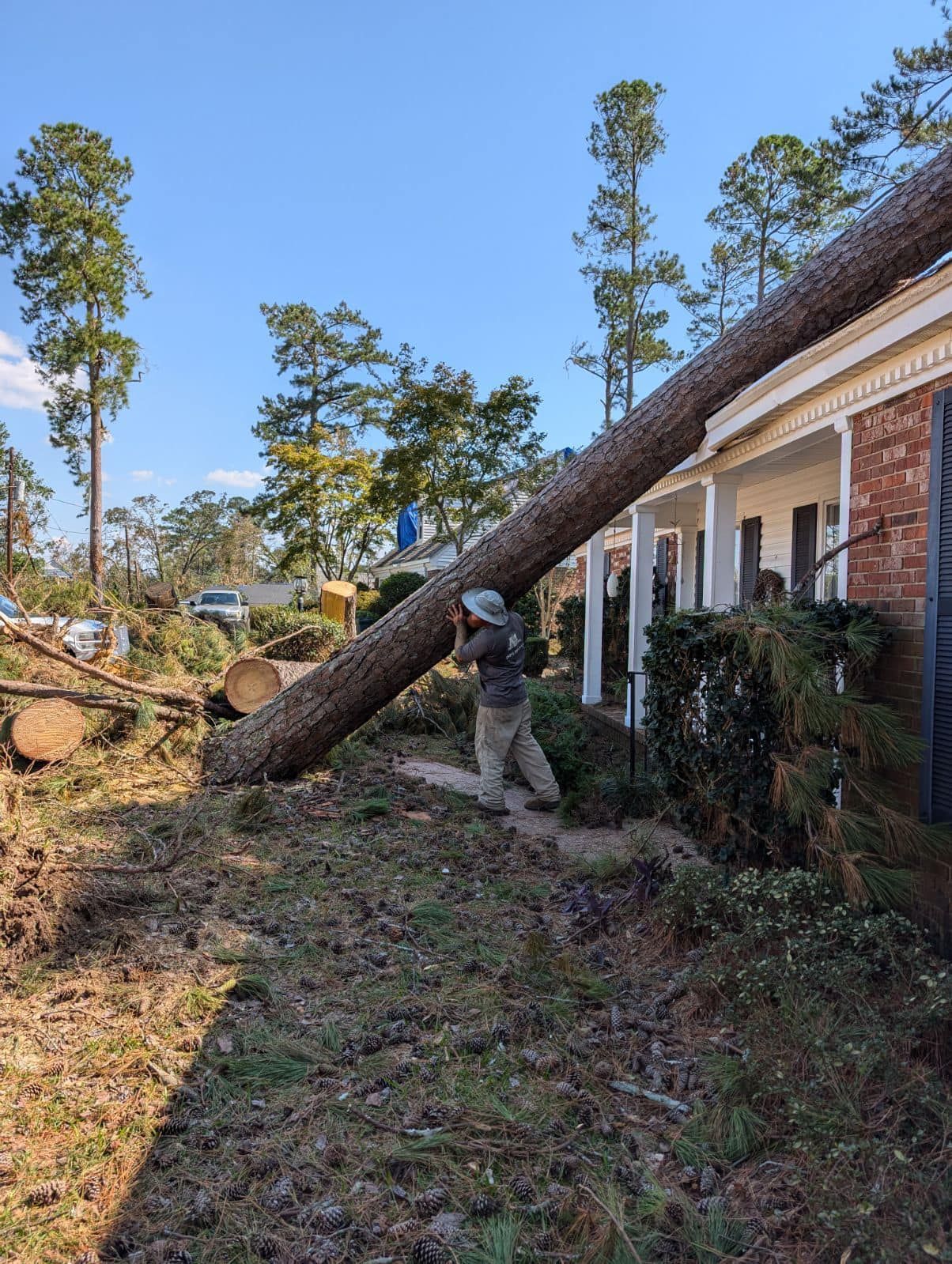 Uprooted tree trunk leaning onto a brick house in a yard after storm damage