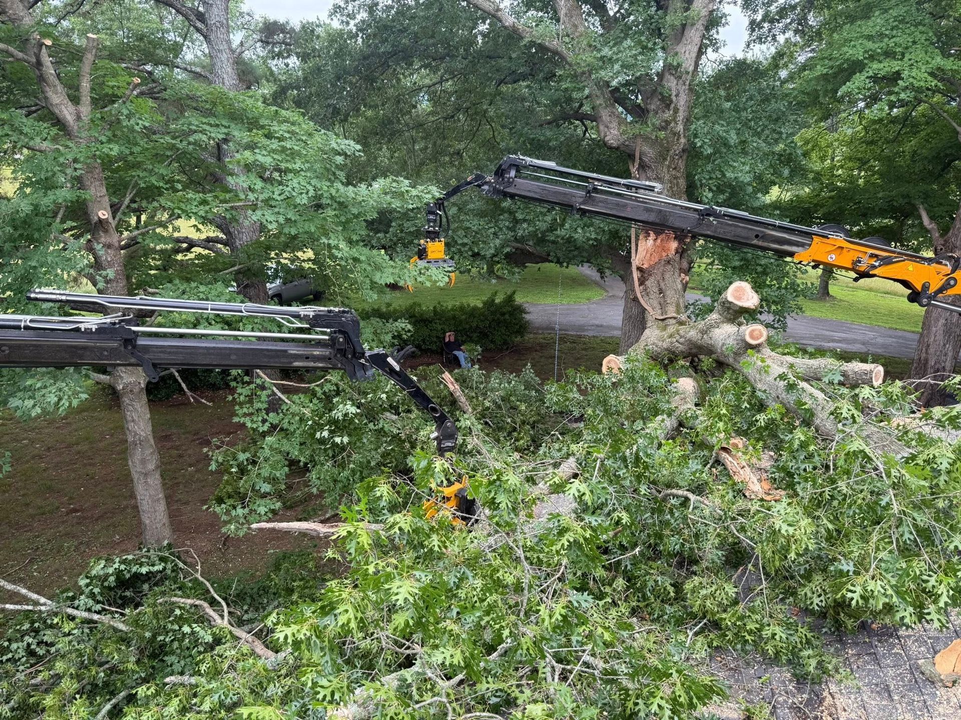 Crane lifting storm-damaged tree branches over a flooded roadside in a wooded area