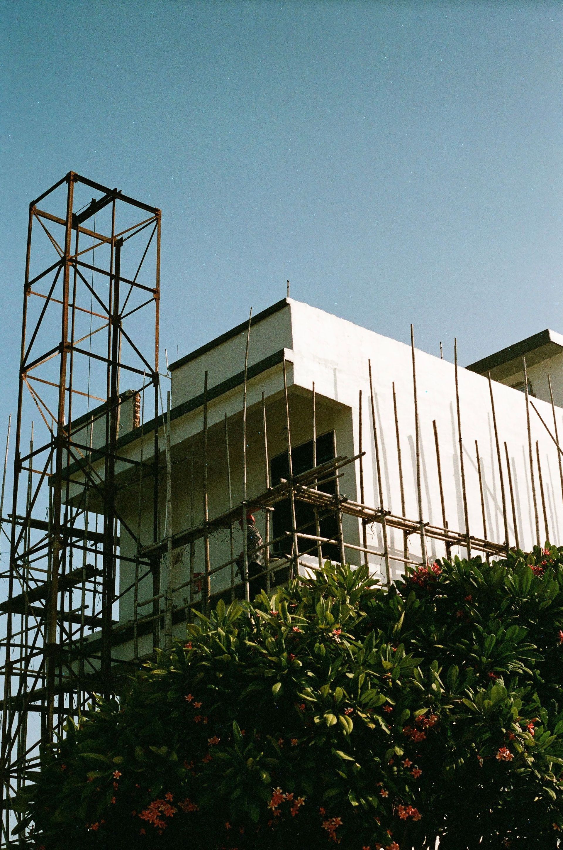Modern building under construction behind trees, with a tall metal framework on the left.