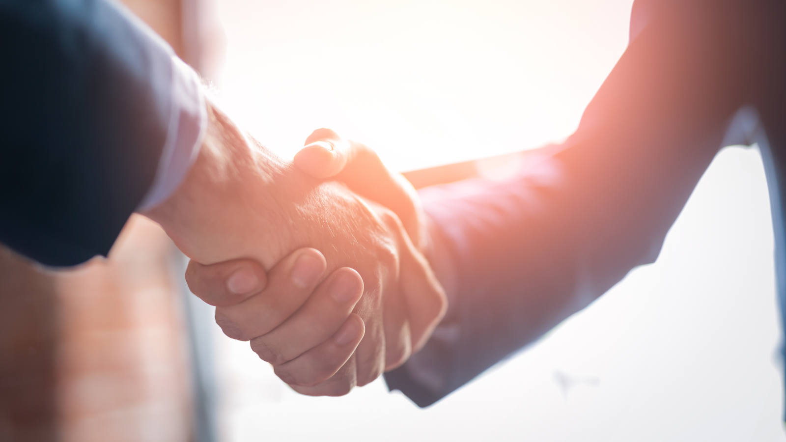 two businessmen are shaking hands in front of a window .
