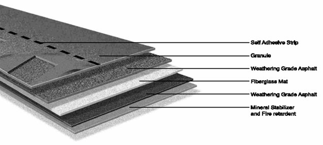 Layers of an asphalt shingle