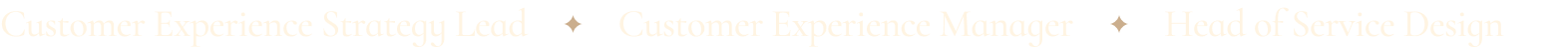 Small colorful icon strip on a white background, with a thin black horizontal line near the top.