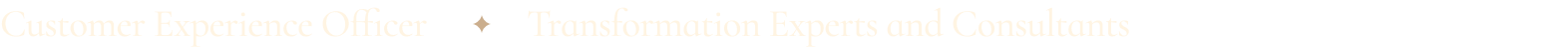 Thin horizontal strip with a black top edge and a blurred white and pale pink background