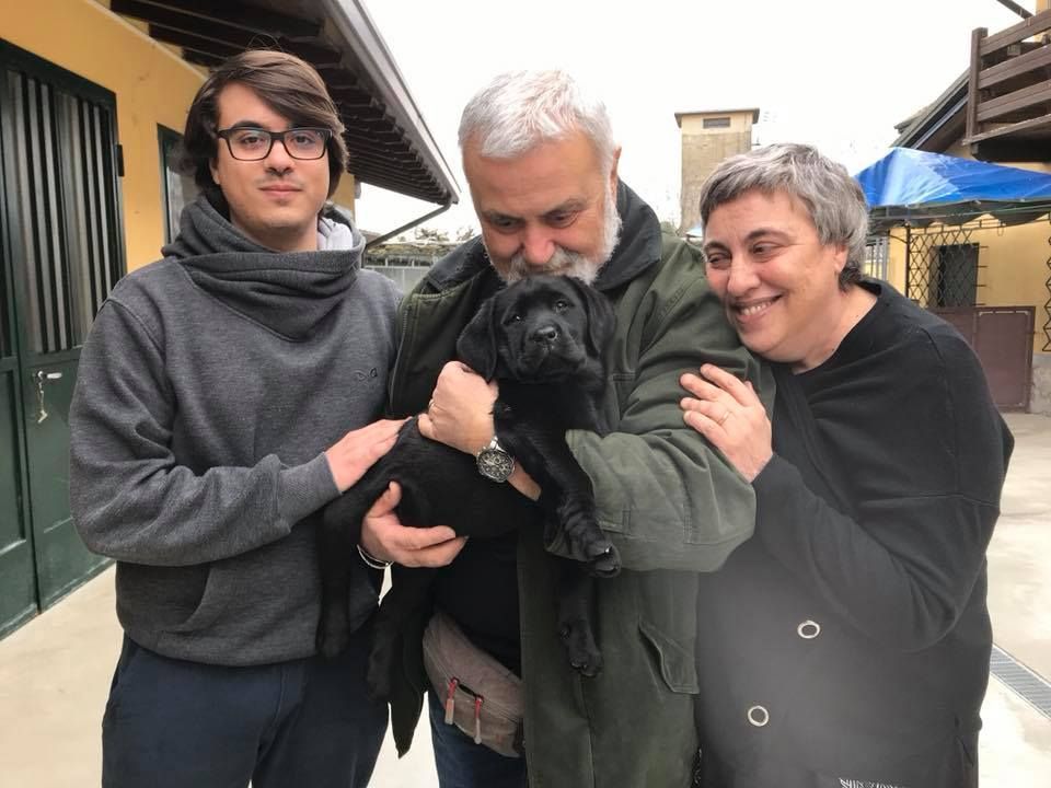 Allevamento Enci FCI Labrador in provincia di Pavia - I Labrador di Casa Paraporti - Consegna cuccioli