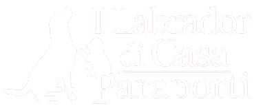 I Labrador di Casa Paraporti | Ottobiano, PV