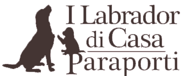 Otto Agriturismo-Logo
