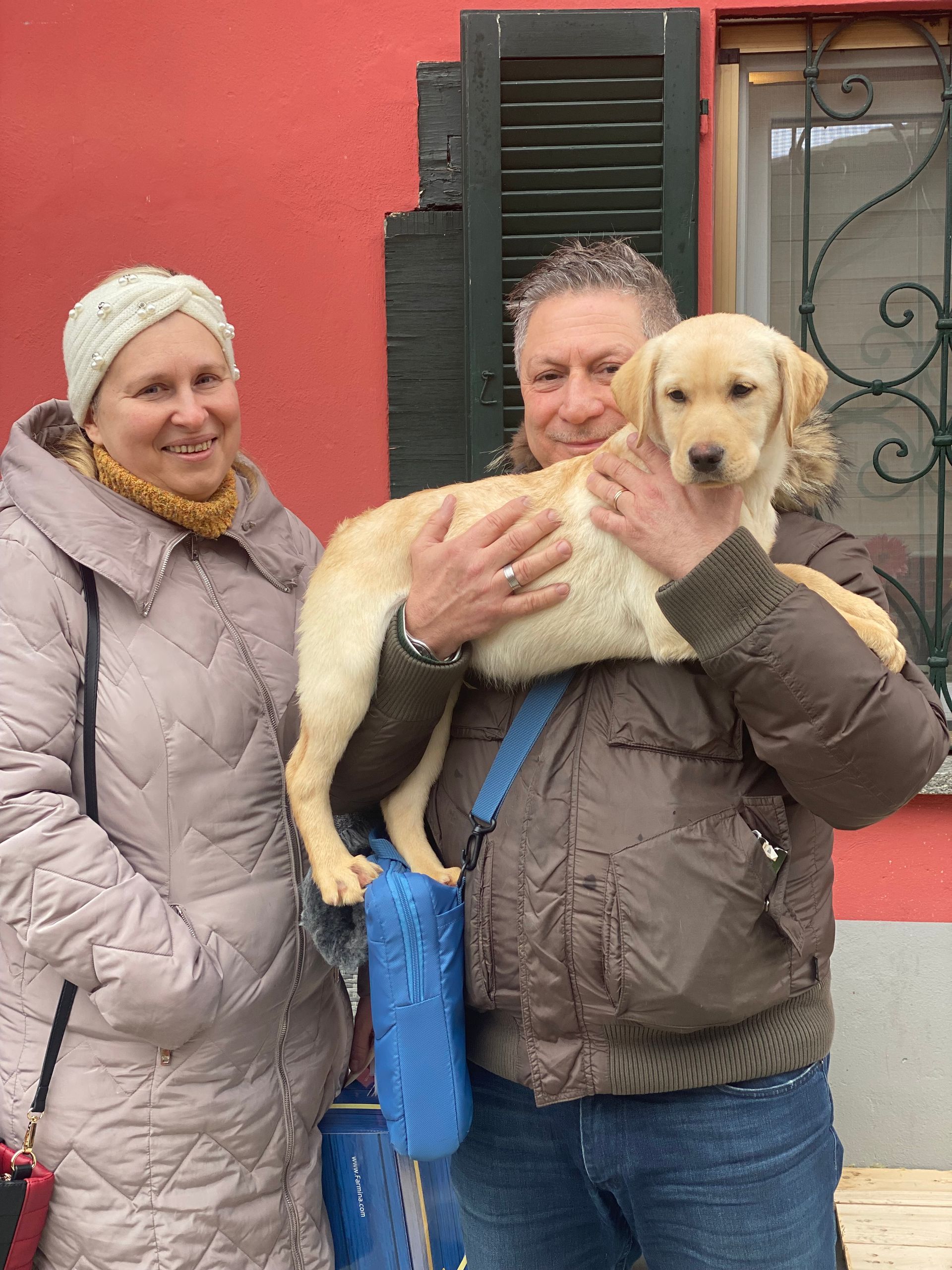 Allevamento Enci FCI Labrador in provincia di Pavia - I Labrador di Casa Paraporti - Consegna cuccioli