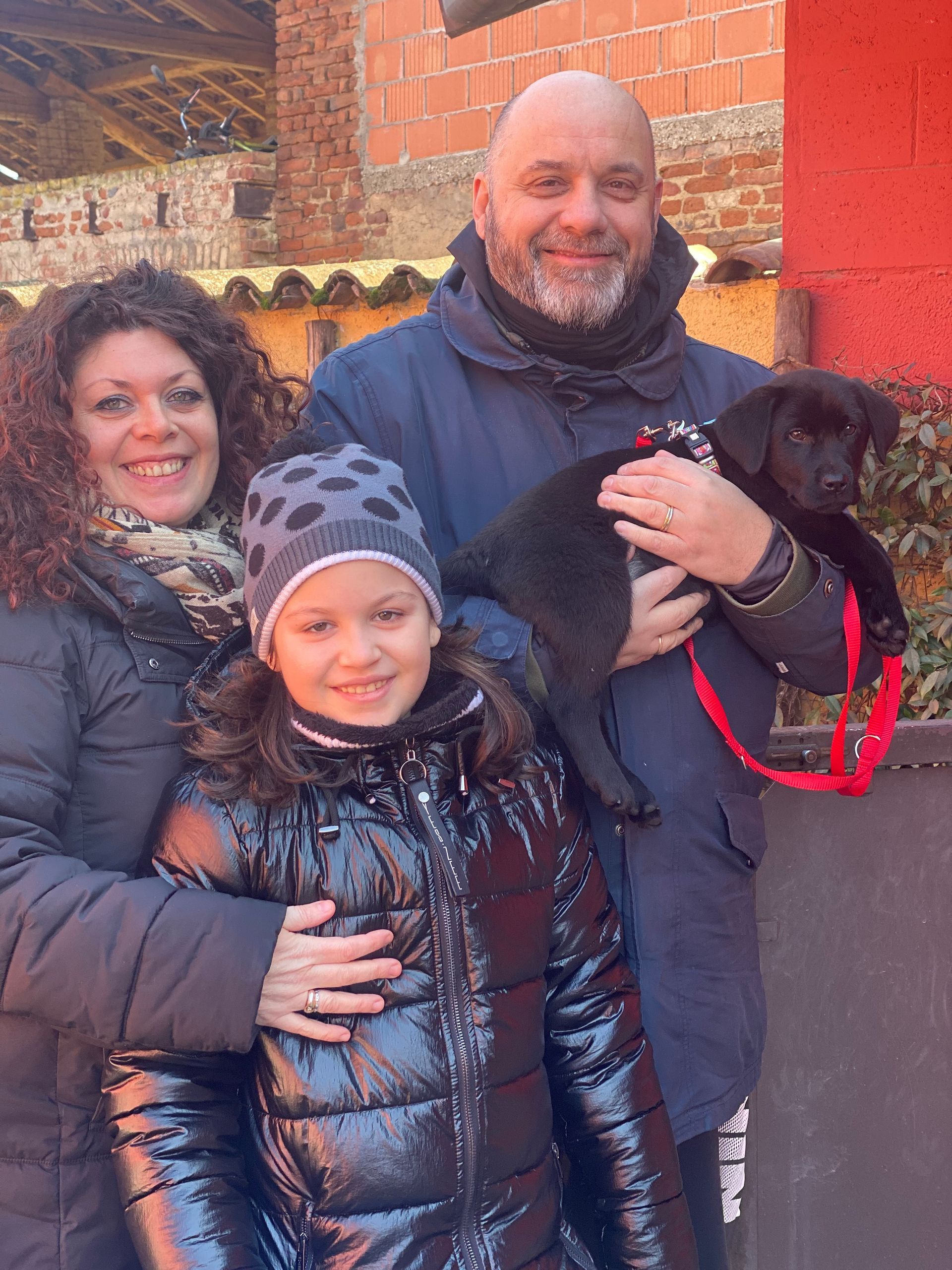 Allevamento Enci FCI Labrador in provincia di Pavia - I Labrador di Casa Paraporti - Consegna cuccioli