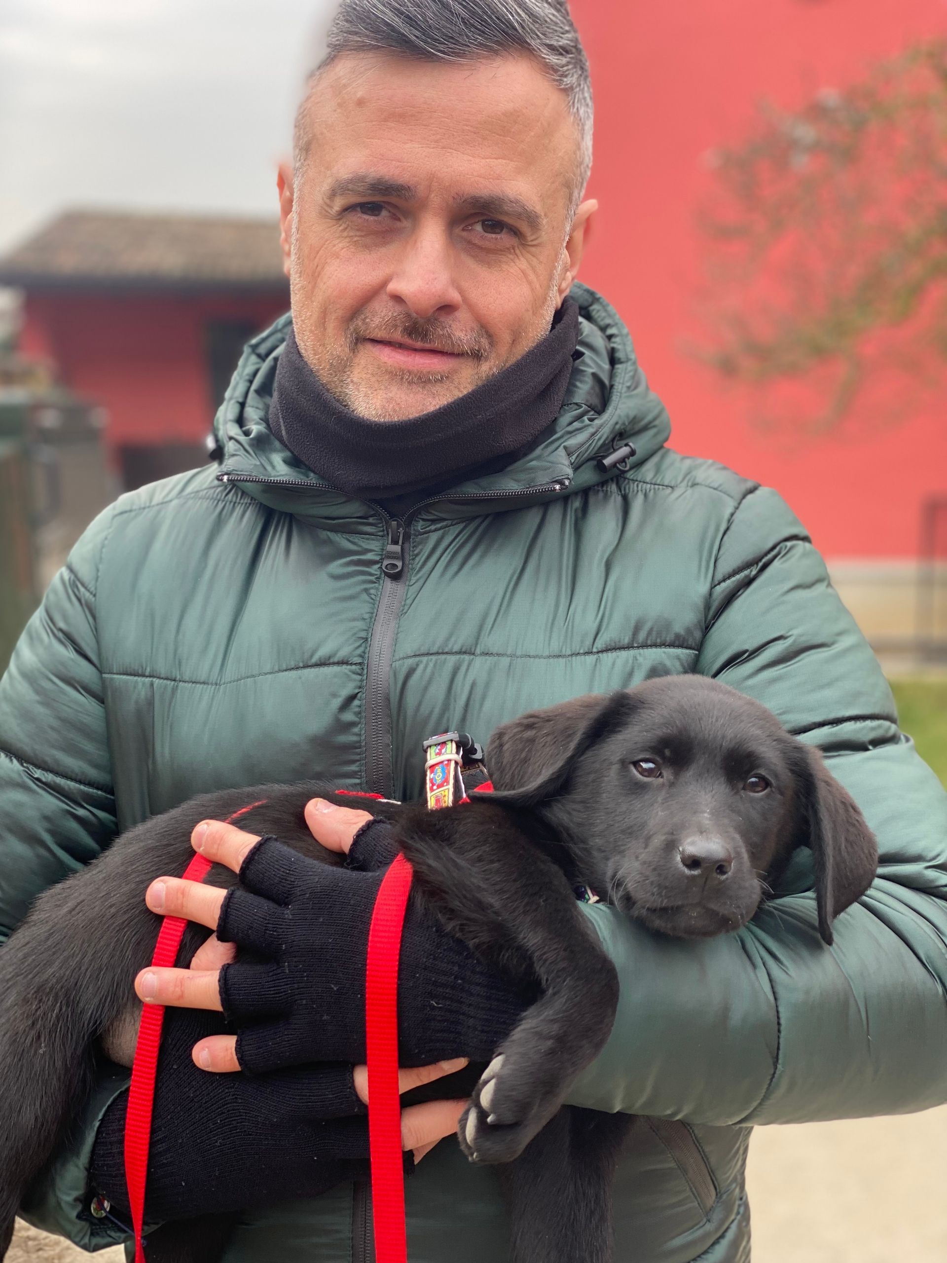 Allevamento Enci FCI Labrador in provincia di Pavia - I Labrador di Casa Paraporti - Consegna cuccioli