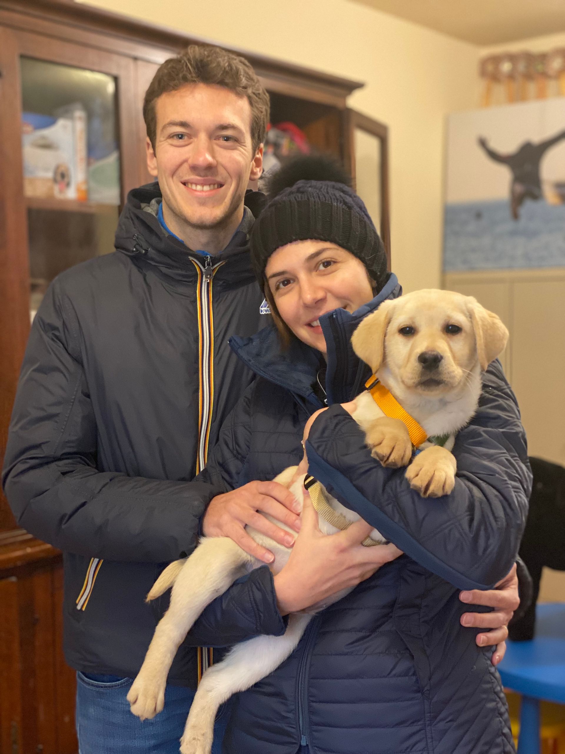 Allevamento Enci FCI Labrador in provincia di Pavia - I Labrador di Casa Paraporti - Consegna cuccioli