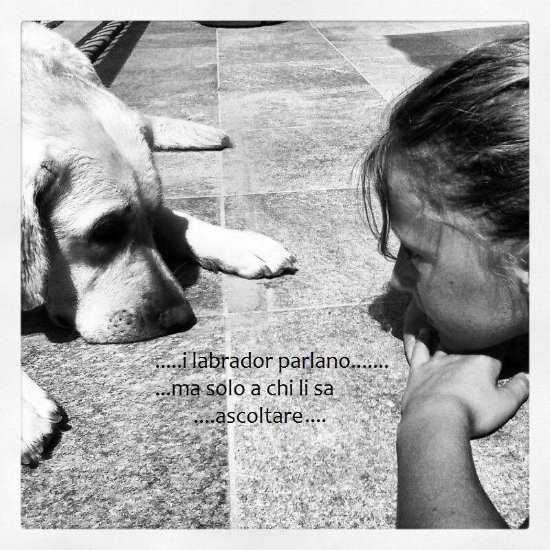 I LABRADOR PARLANO...MA SOLO A CHI LI SA ASCOLTARE