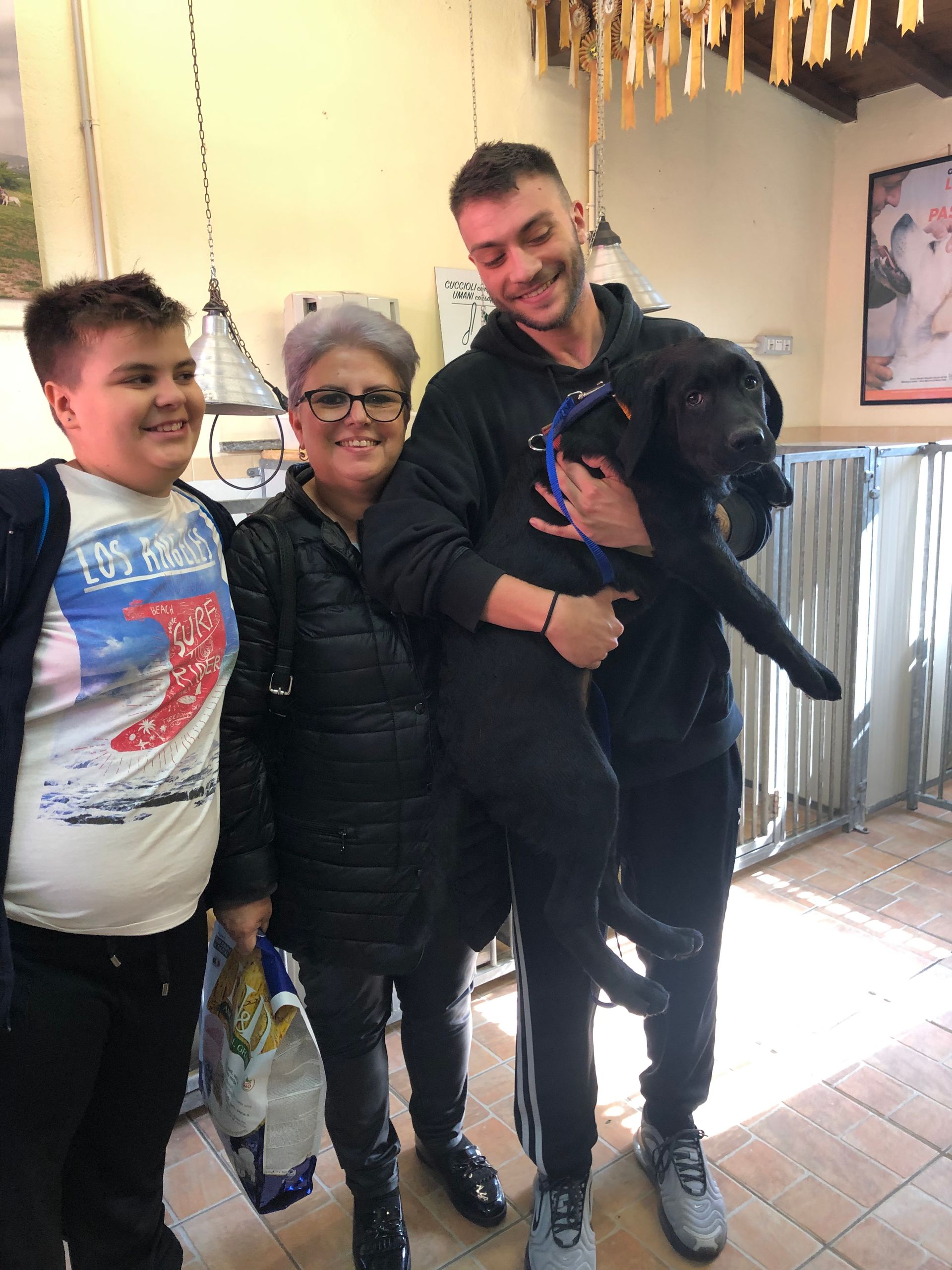 Allevamento Enci FCI Labrador in provincia di Pavia - I Labrador di Casa Paraporti - Consegna cuccioli