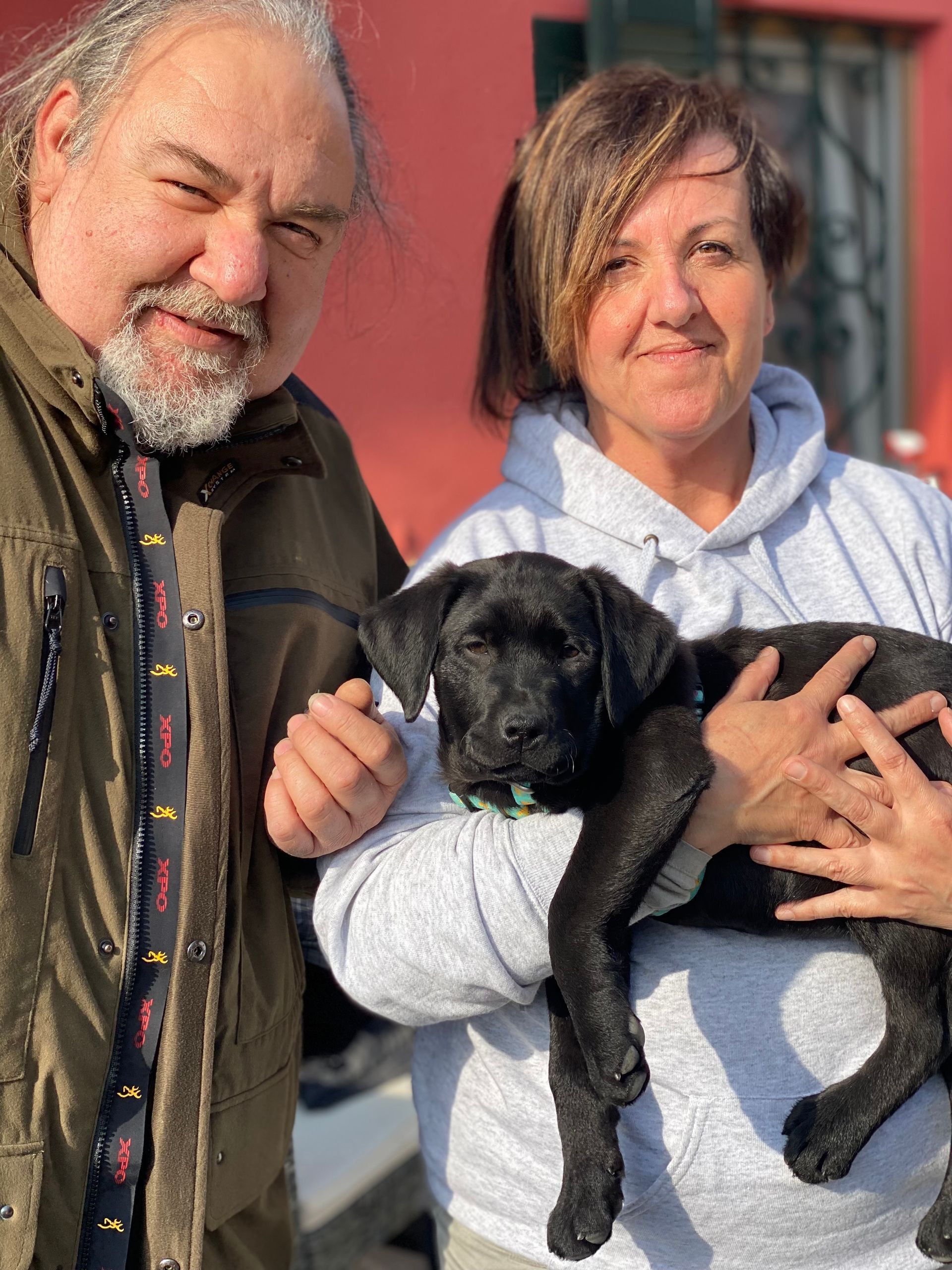 Allevamento Enci FCI Labrador in provincia di Pavia - I Labrador di Casa Paraporti - Consegna cuccioli