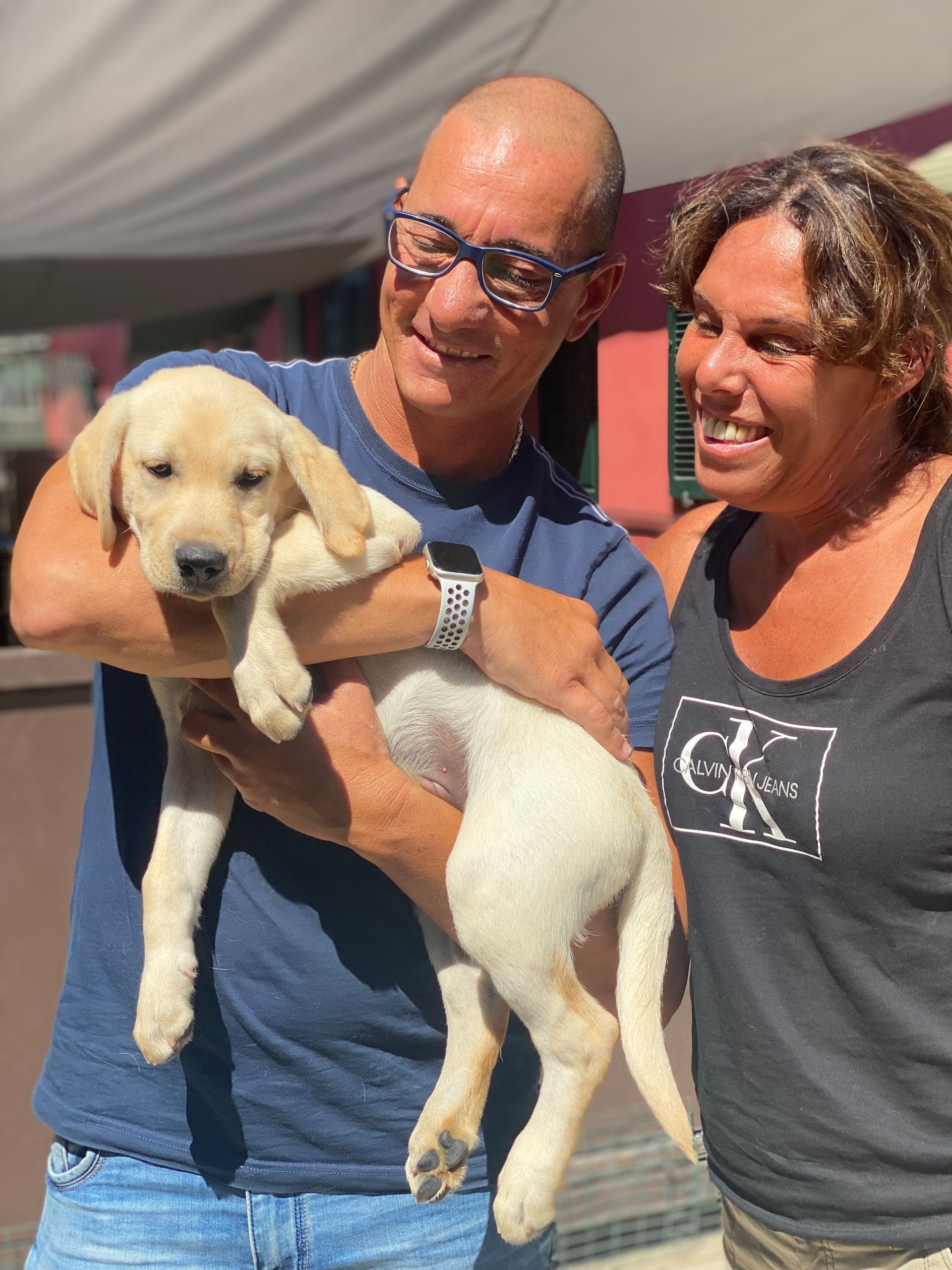 Allevamento Enci FCI Labrador in provincia di Pavia - I Labrador di Casa Paraporti - Consegna cuccioli