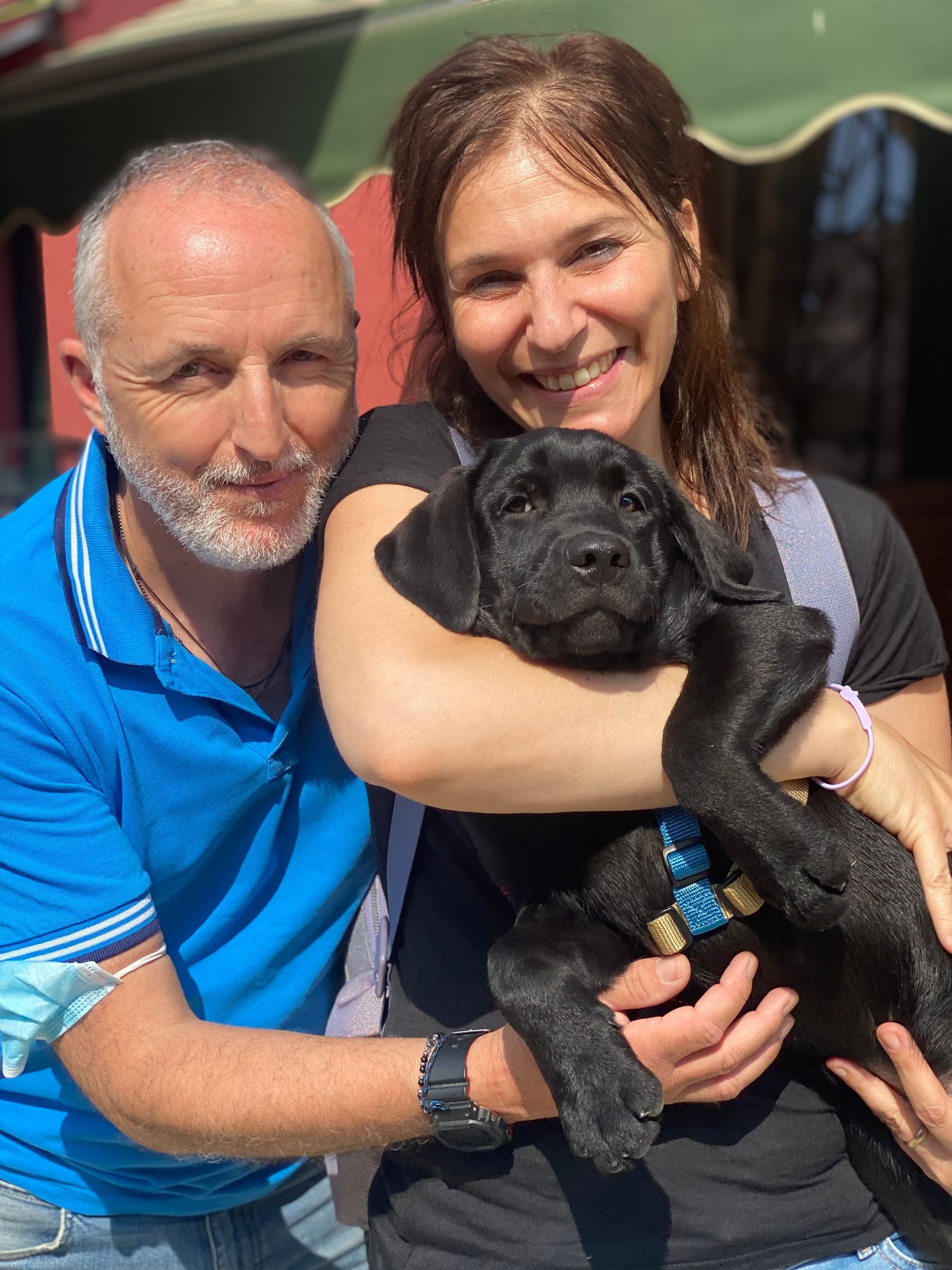 Allevamento Enci FCI Labrador in provincia di Pavia - I Labrador di Casa Paraporti - Consegna cuccioli