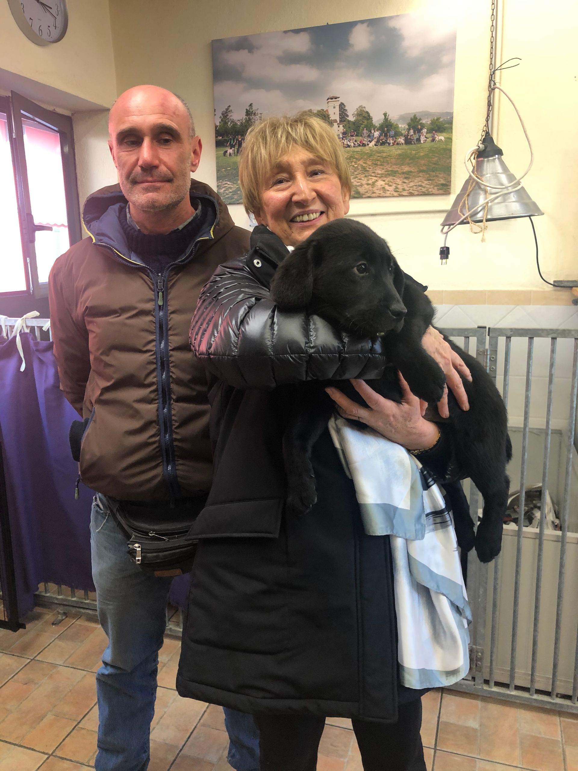 Allevamento Enci FCI Labrador in provincia di Pavia - I Labrador di Casa Paraporti - Consegna cuccioli