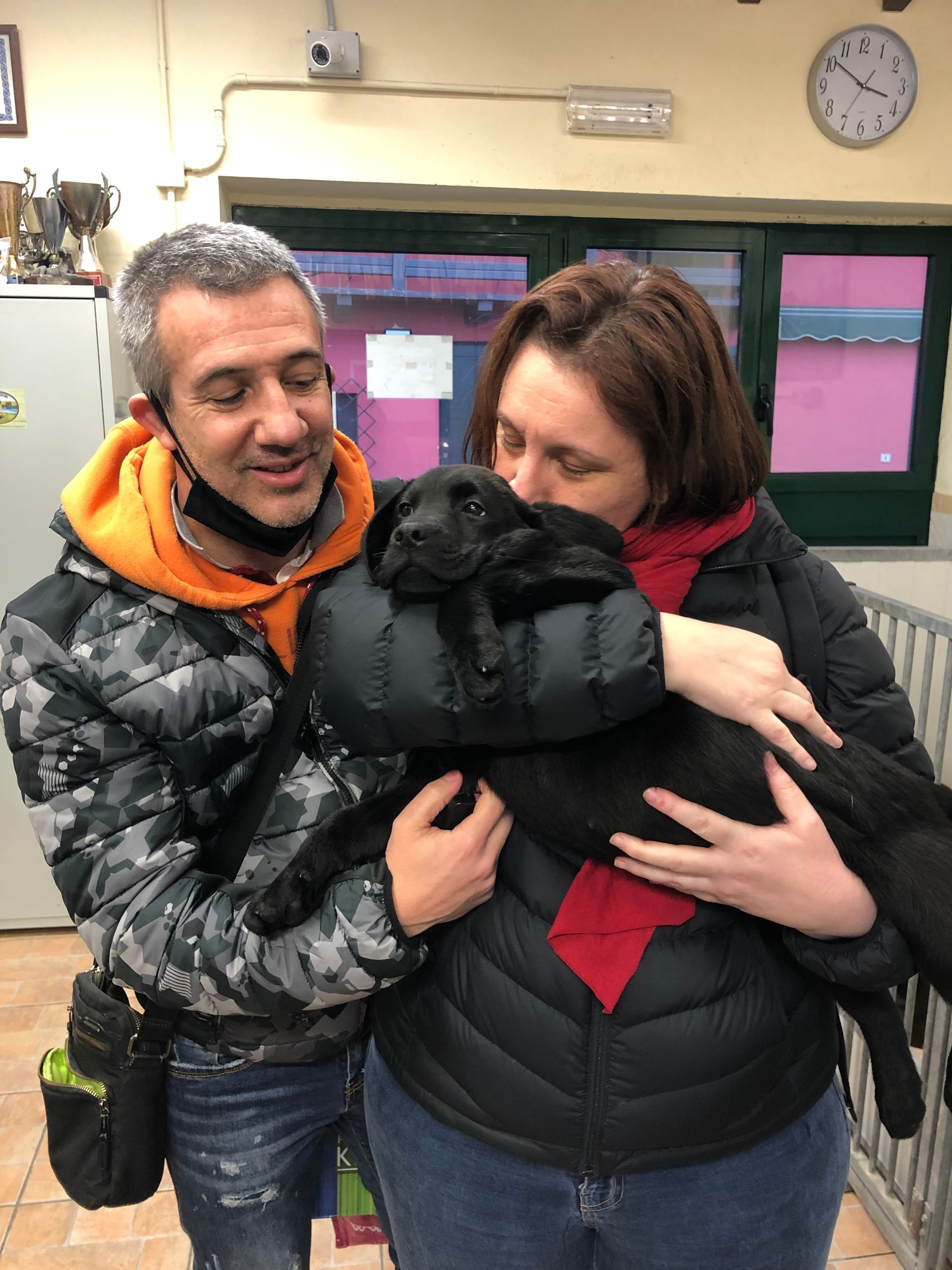 Allevamento Enci FCI Labrador in provincia di Pavia - I Labrador di Casa Paraporti - Consegna cuccioli