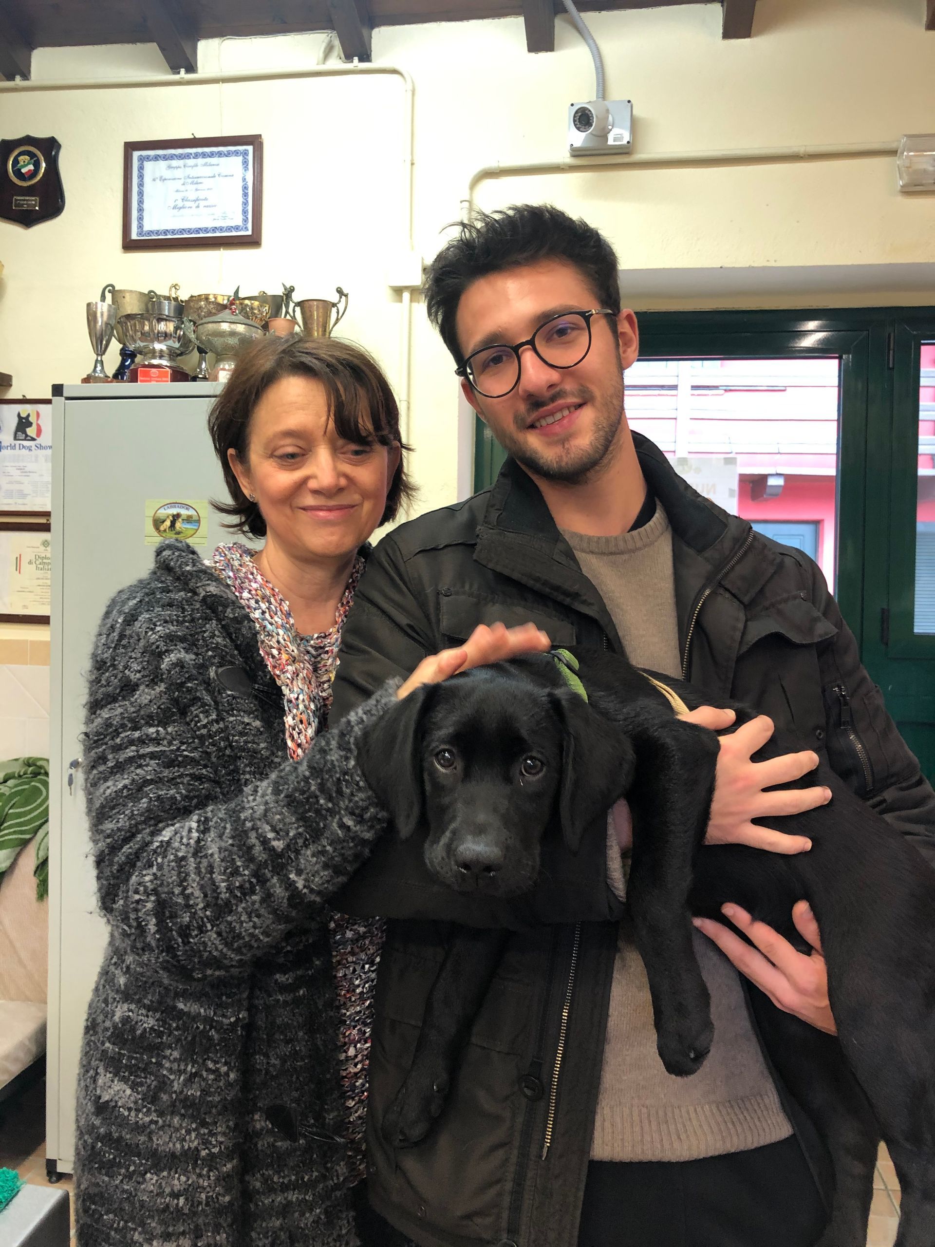 Allevamento Enci FCI Labrador in provincia di Pavia - I Labrador di Casa Paraporti - Consegna cuccioli
