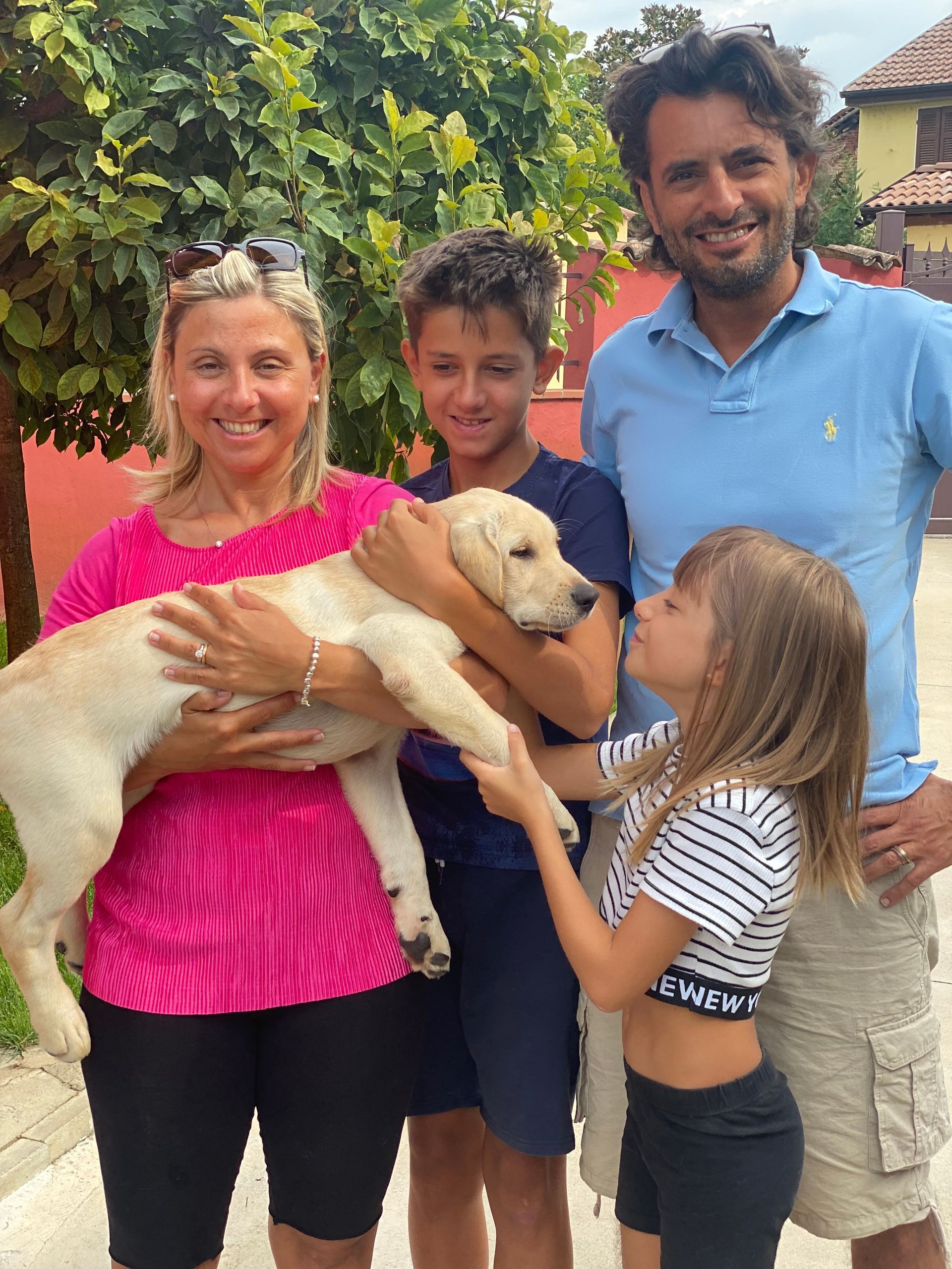 Allevamento Enci FCI Labrador in provincia di Pavia - I Labrador di Casa Paraporti - Consegna cuccioli