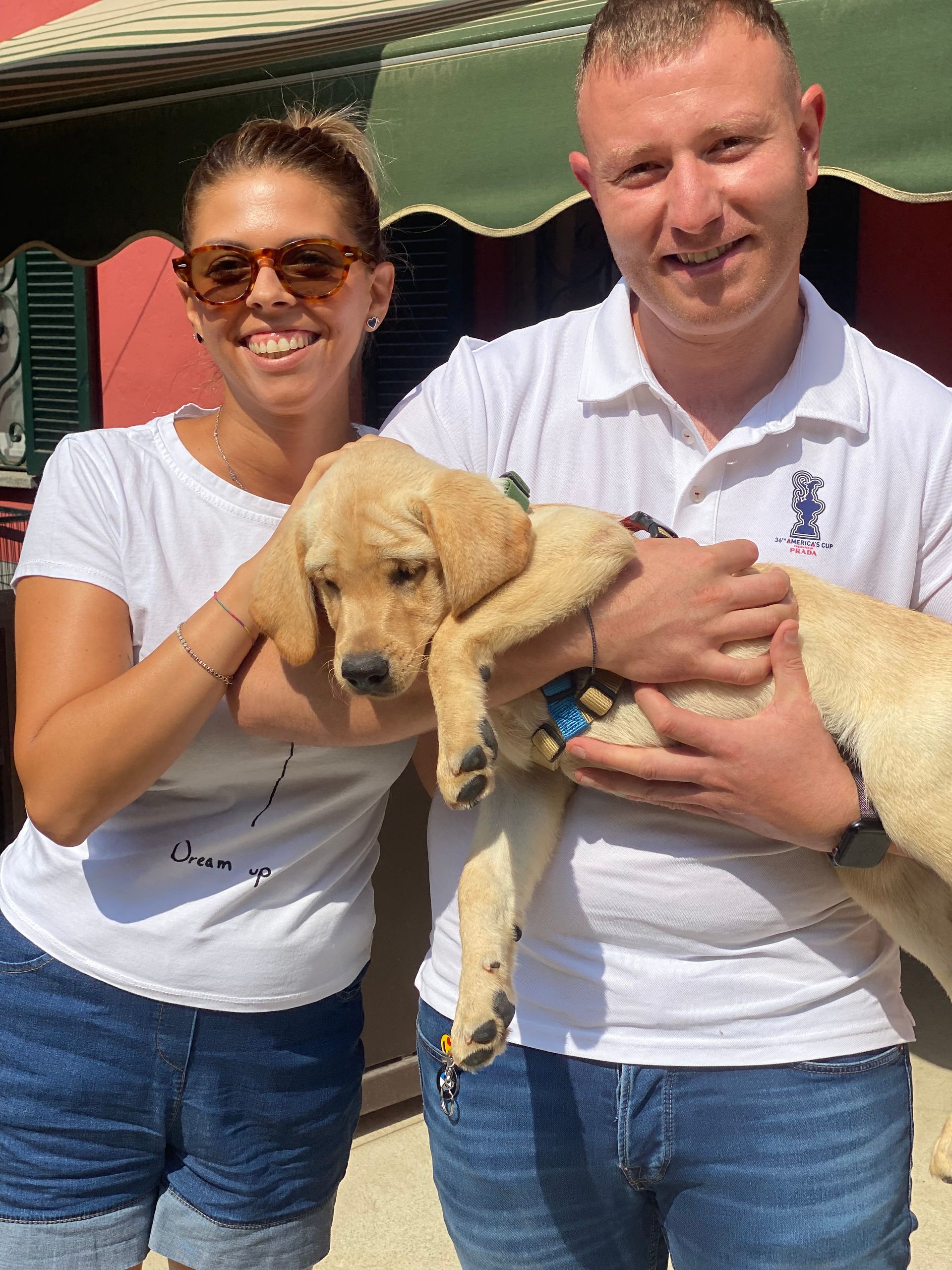 Allevamento Enci FCI Labrador in provincia di Pavia - I Labrador di Casa Paraporti - Consegna cuccioli