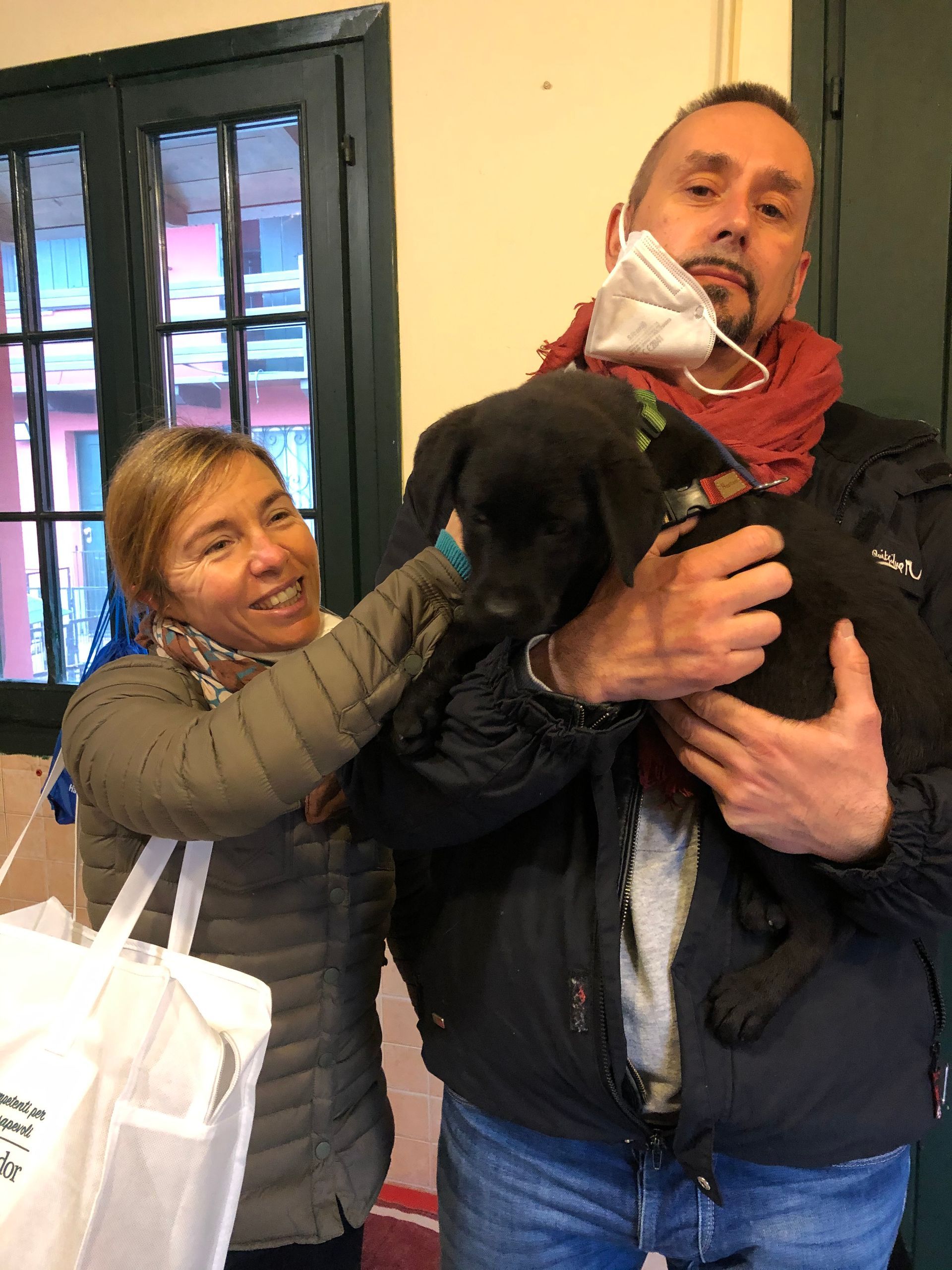 Allevamento Enci FCI Labrador in provincia di Pavia - I Labrador di Casa Paraporti - Consegna cuccioli