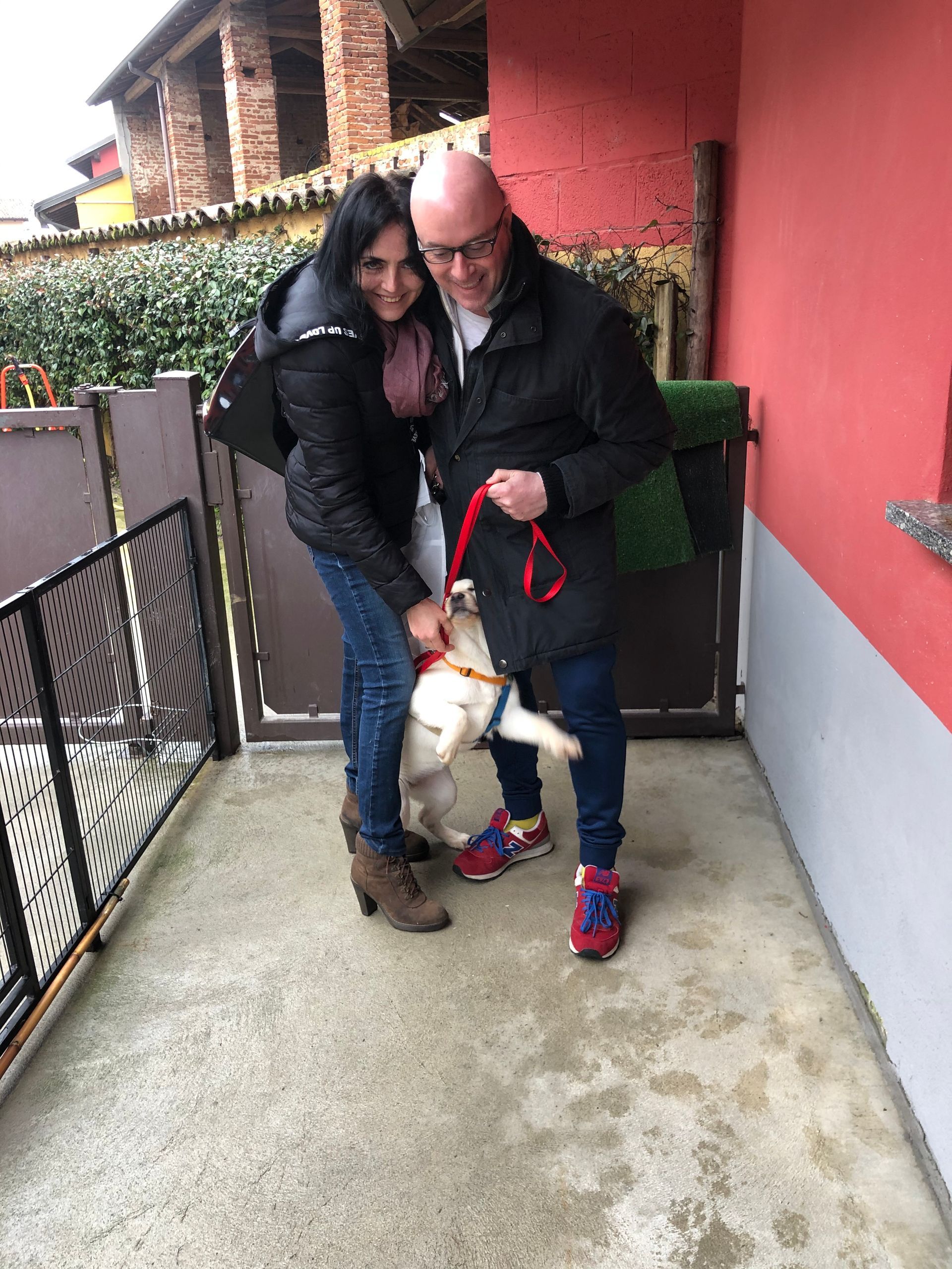 Allevamento Enci FCI Labrador in provincia di Pavia - I Labrador di Casa Paraporti - Consegna cuccioli
