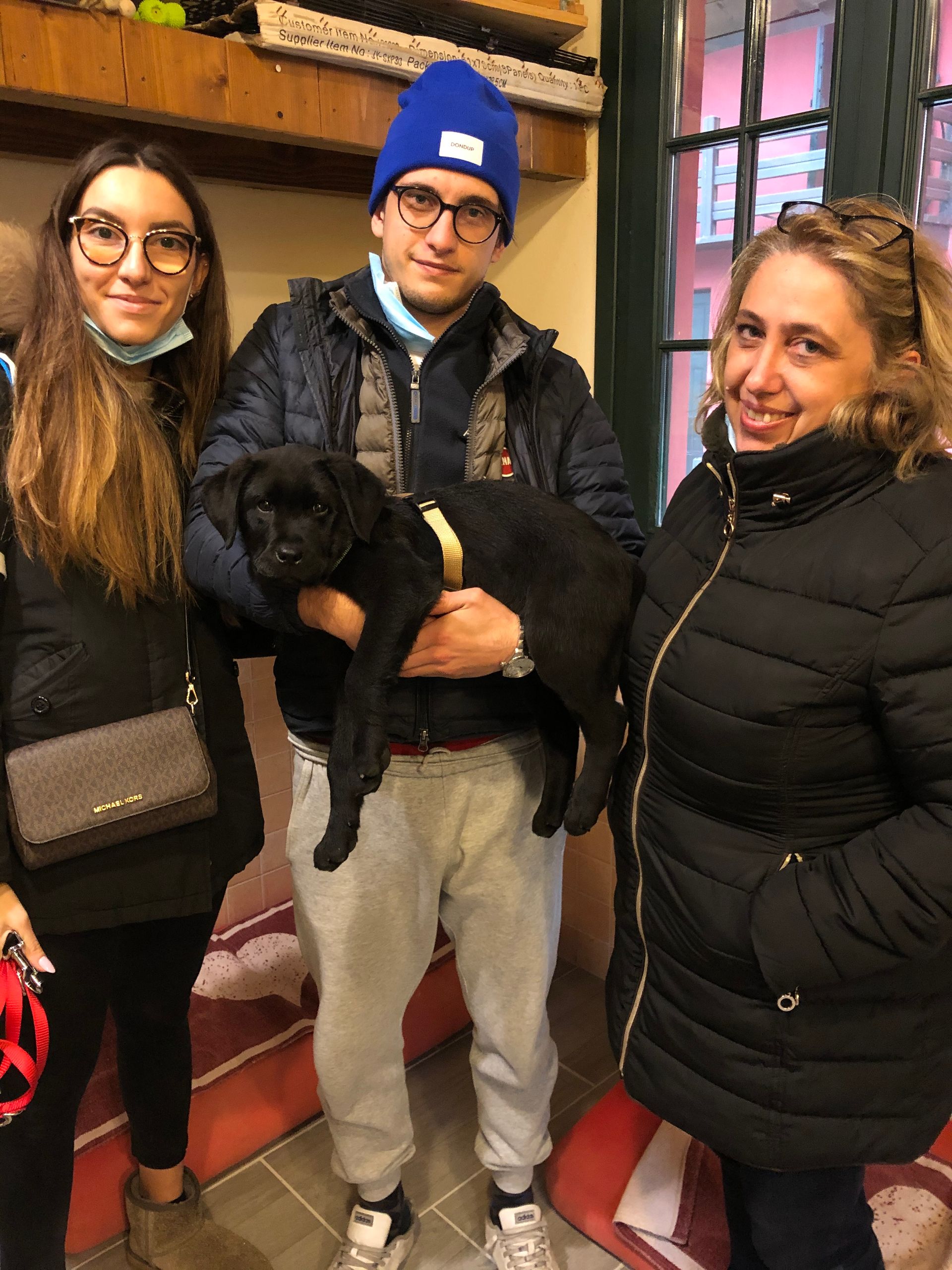 Allevamento Enci FCI Labrador in provincia di Pavia - I Labrador di Casa Paraporti - Consegna cuccioli