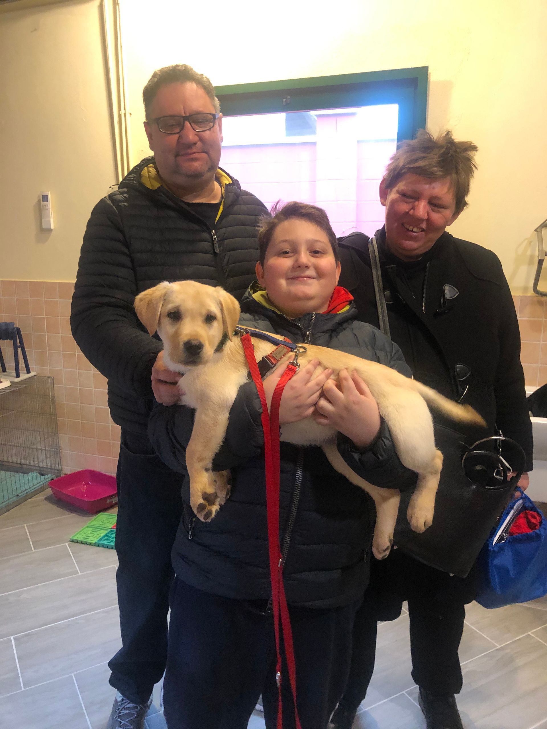 Allevamento Enci FCI Labrador in provincia di Pavia - I Labrador di Casa Paraporti - Consegna cuccioli