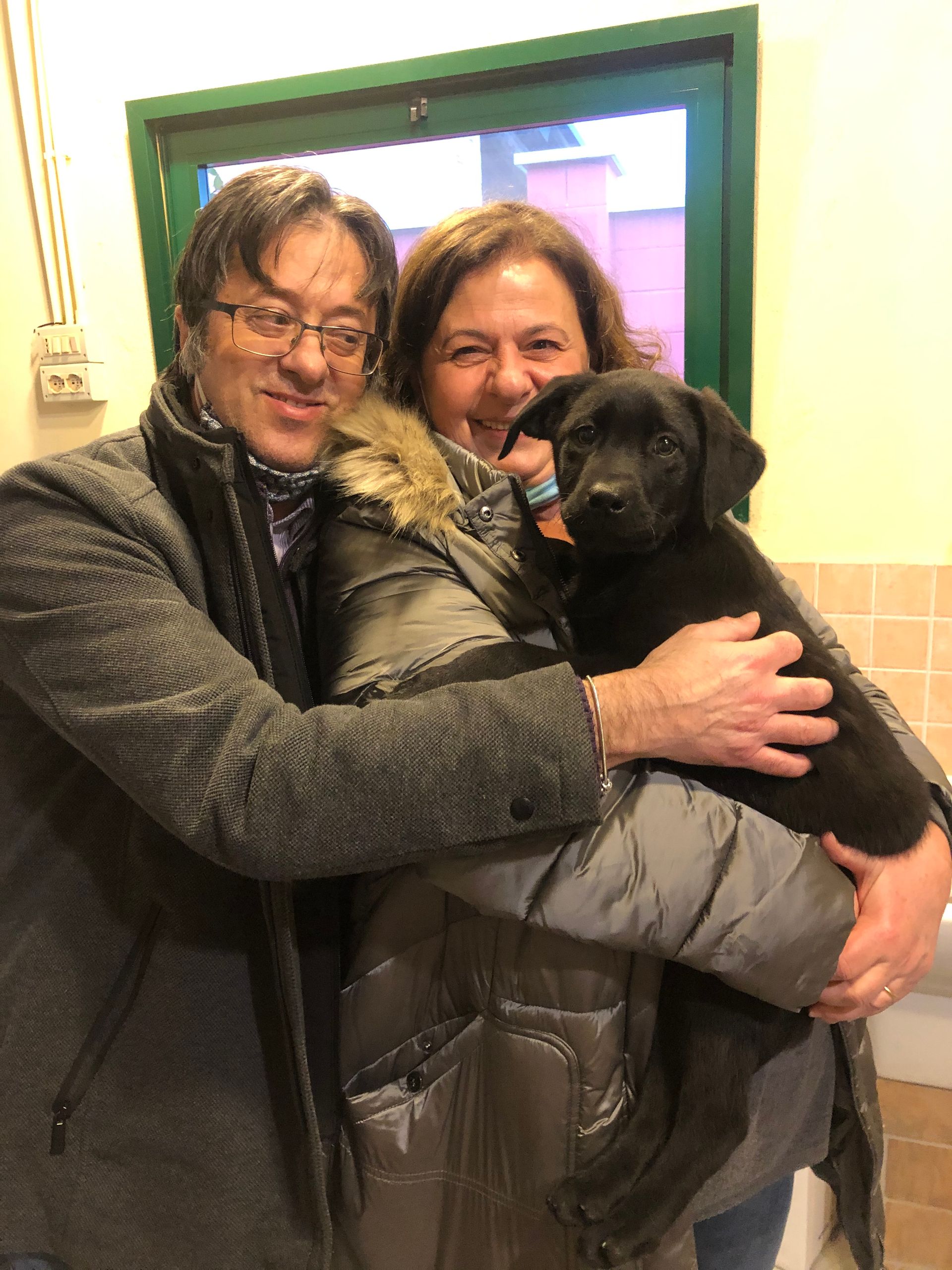 Allevamento Enci FCI Labrador in provincia di Pavia - I Labrador di Casa Paraporti - Consegna cuccioli