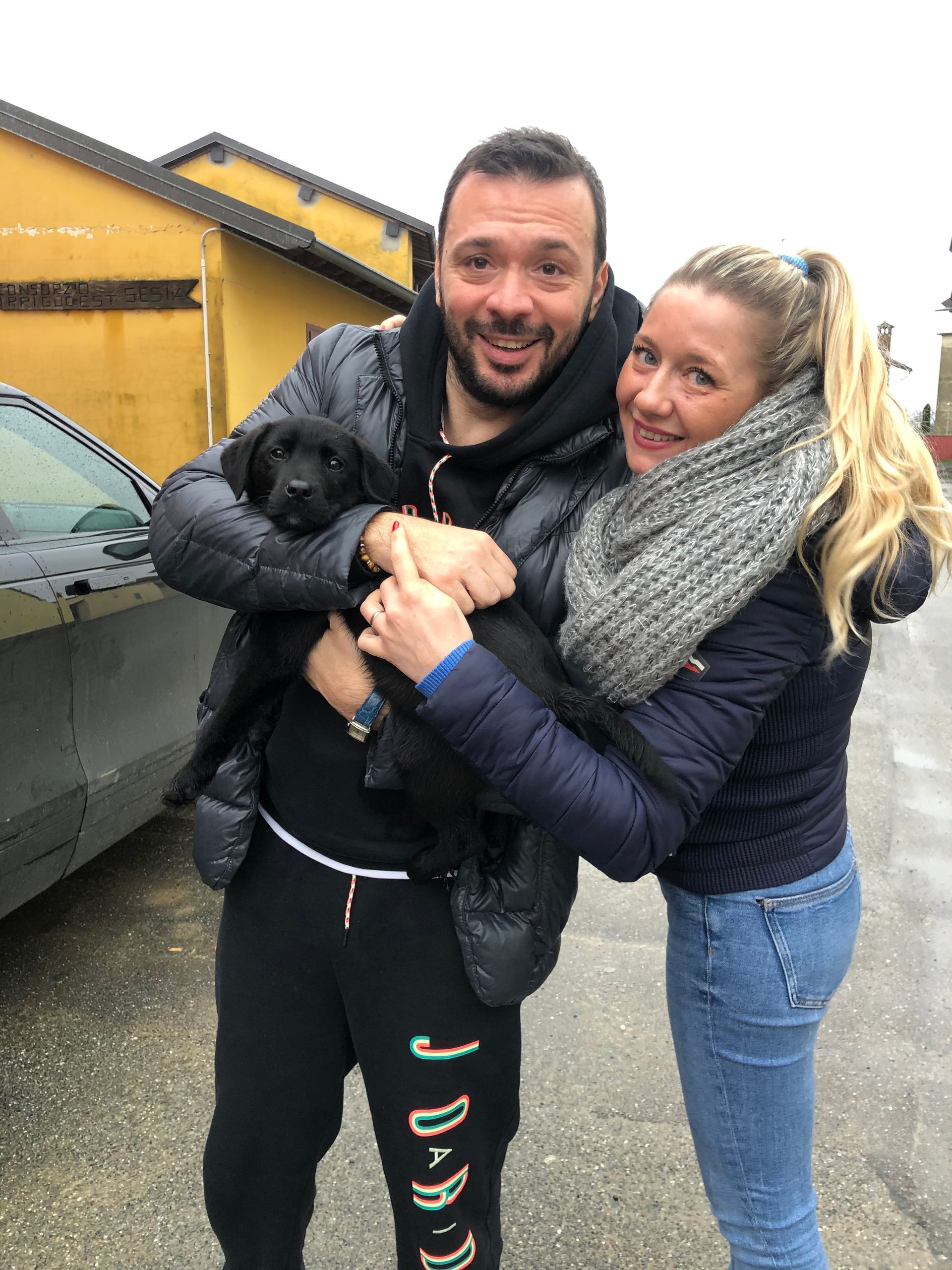 Allevamento Enci FCI Labrador in provincia di Pavia - I Labrador di Casa Paraporti - Consegna cuccioli
