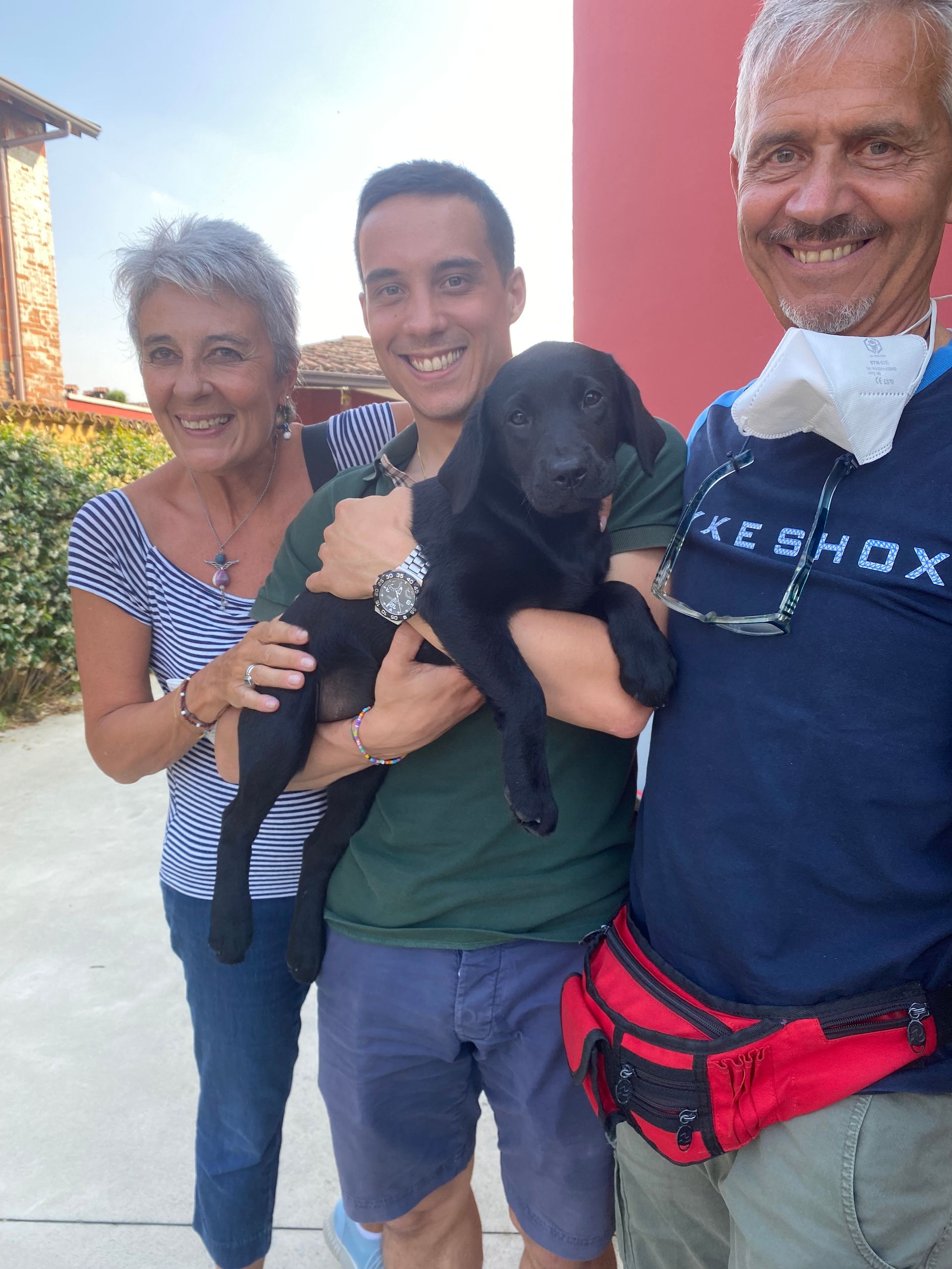 Allevamento Enci FCI Labrador in provincia di Pavia - I Labrador di Casa Paraporti - Consegna cuccioli