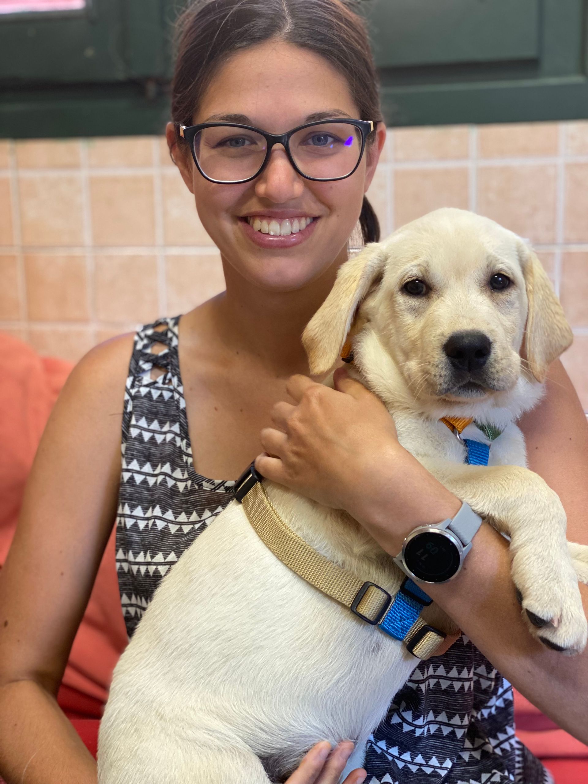 Allevamento Enci FCI Labrador in provincia di Pavia - I Labrador di Casa Paraporti - Consegna cuccioli